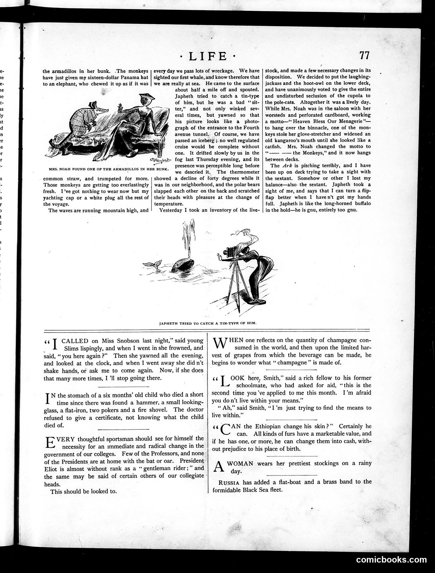 Life — August 5, 1886 — page 7: Life, 1886-08-05