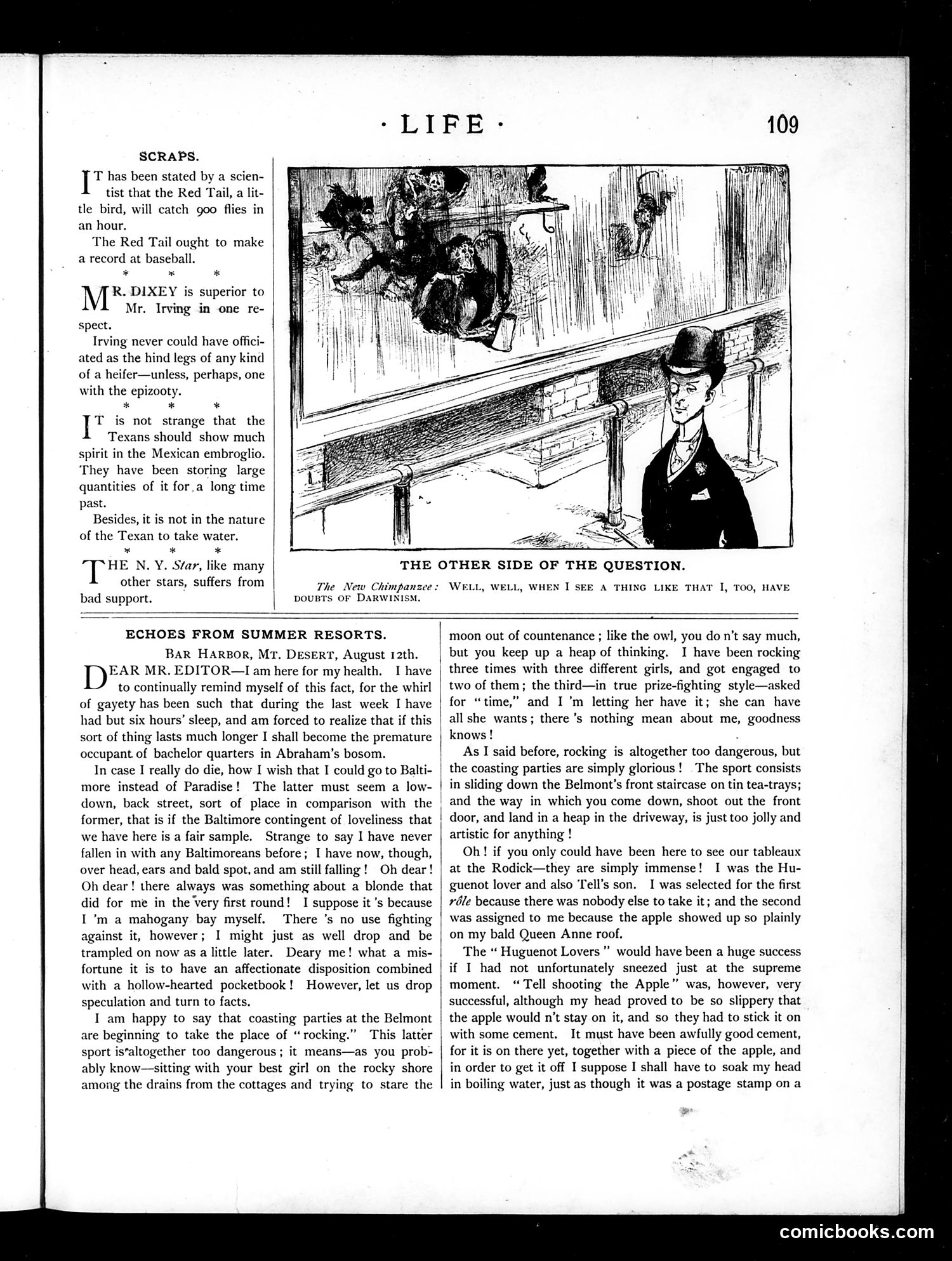 Life — August 19, 1886 — page 11: Life, 1886-08-19