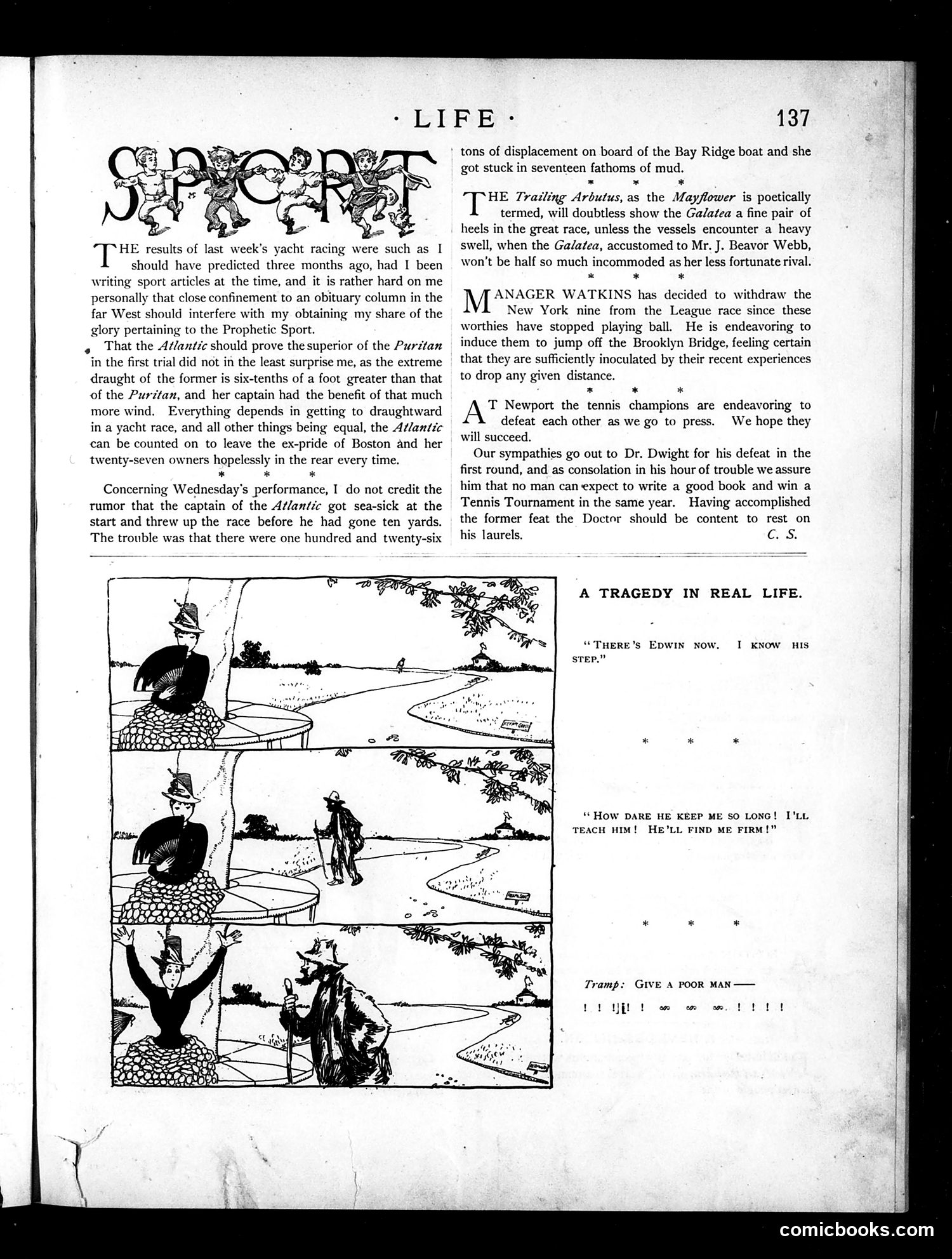 Life — September 2, 1886 — page 11: Life, 1886-09-02