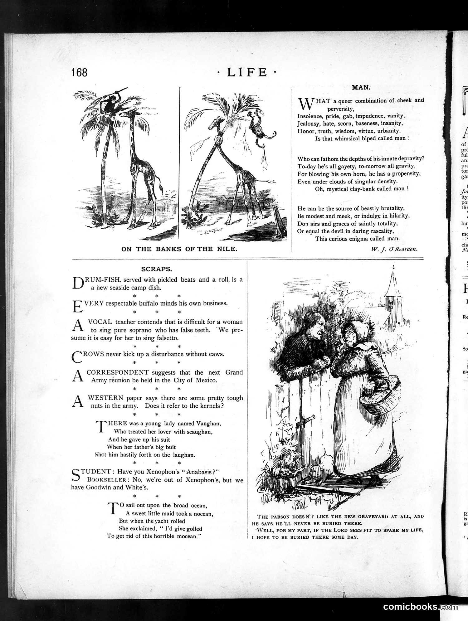 Life — September 16, 1886 — page 12: Life, 1886-09-16