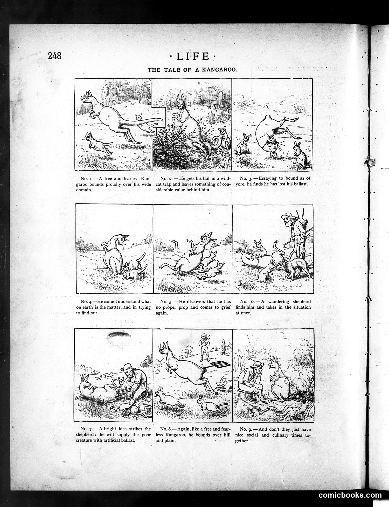 Life — October 21, 1886 — page 12: Life, 1886-10-21
