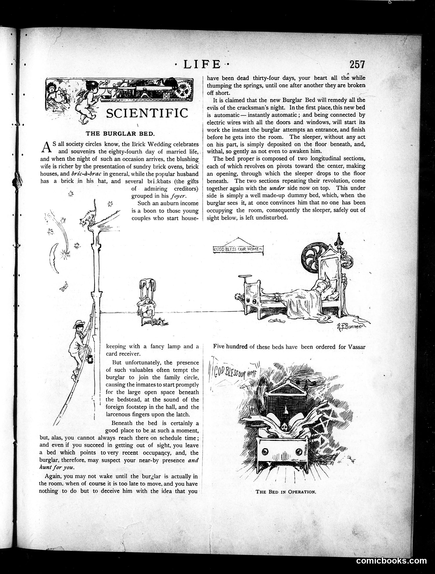 Life — October 28, 1886 — page 5: Life, 1886-10-28