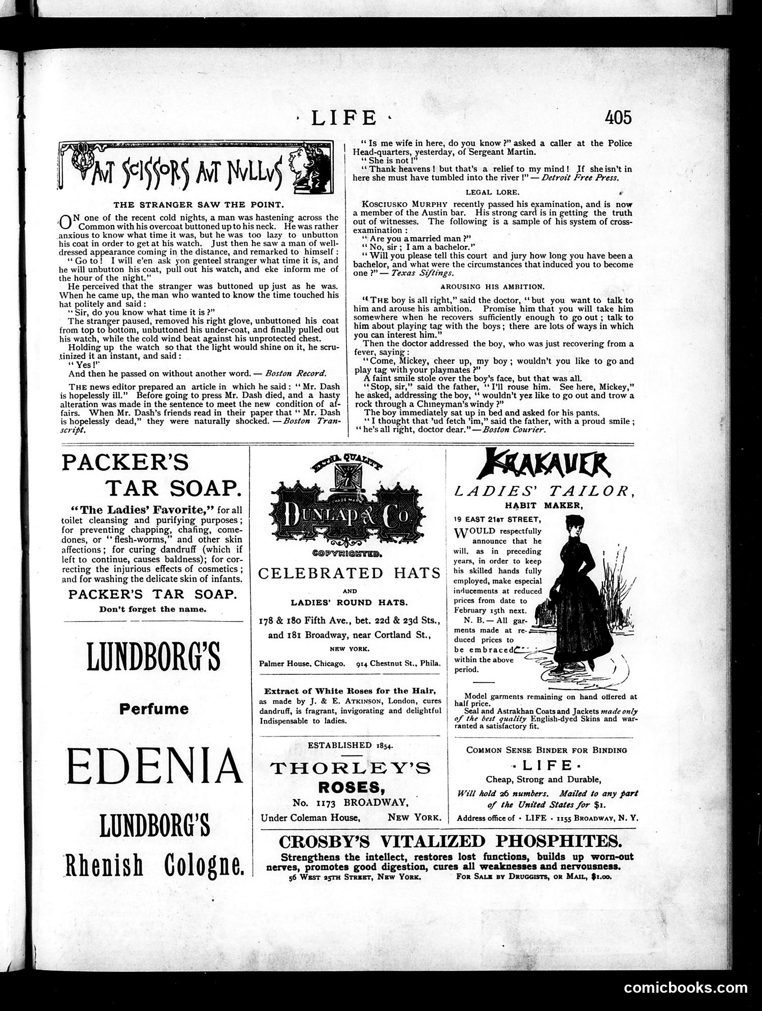 Life — December 23, 1886 — page 13: Life, 1886-12-23