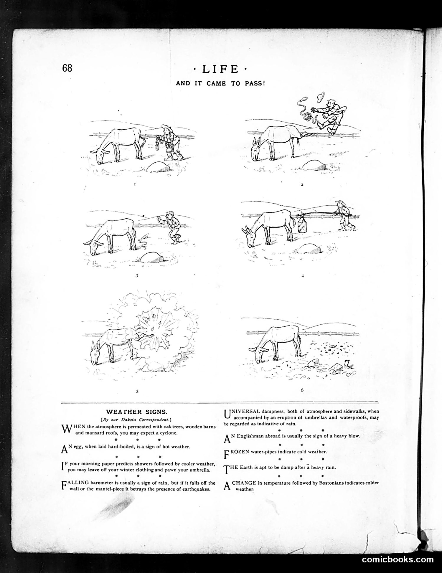 Life — August 4, 1887 — page 12: Life, 1887-08-04