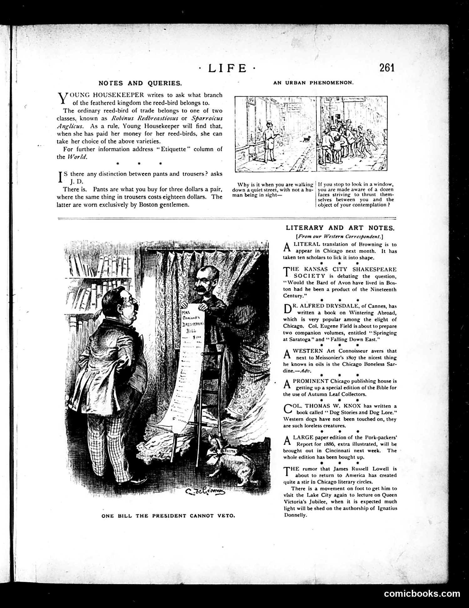 Life — November 10, 1887 — page 7: Life, 1887-11-10