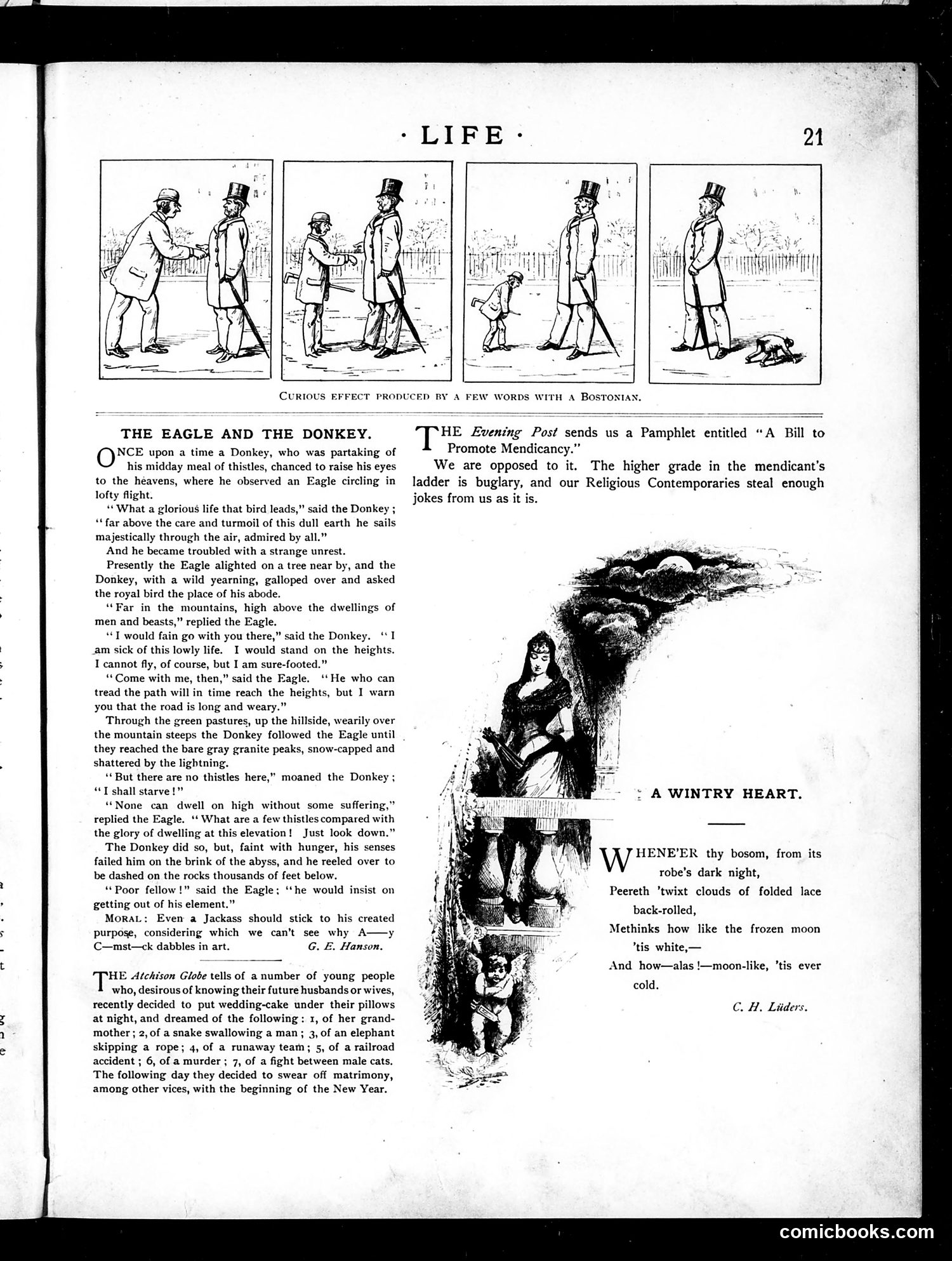Life — January 12, 1888 — page 7: Life, 1888-01-12