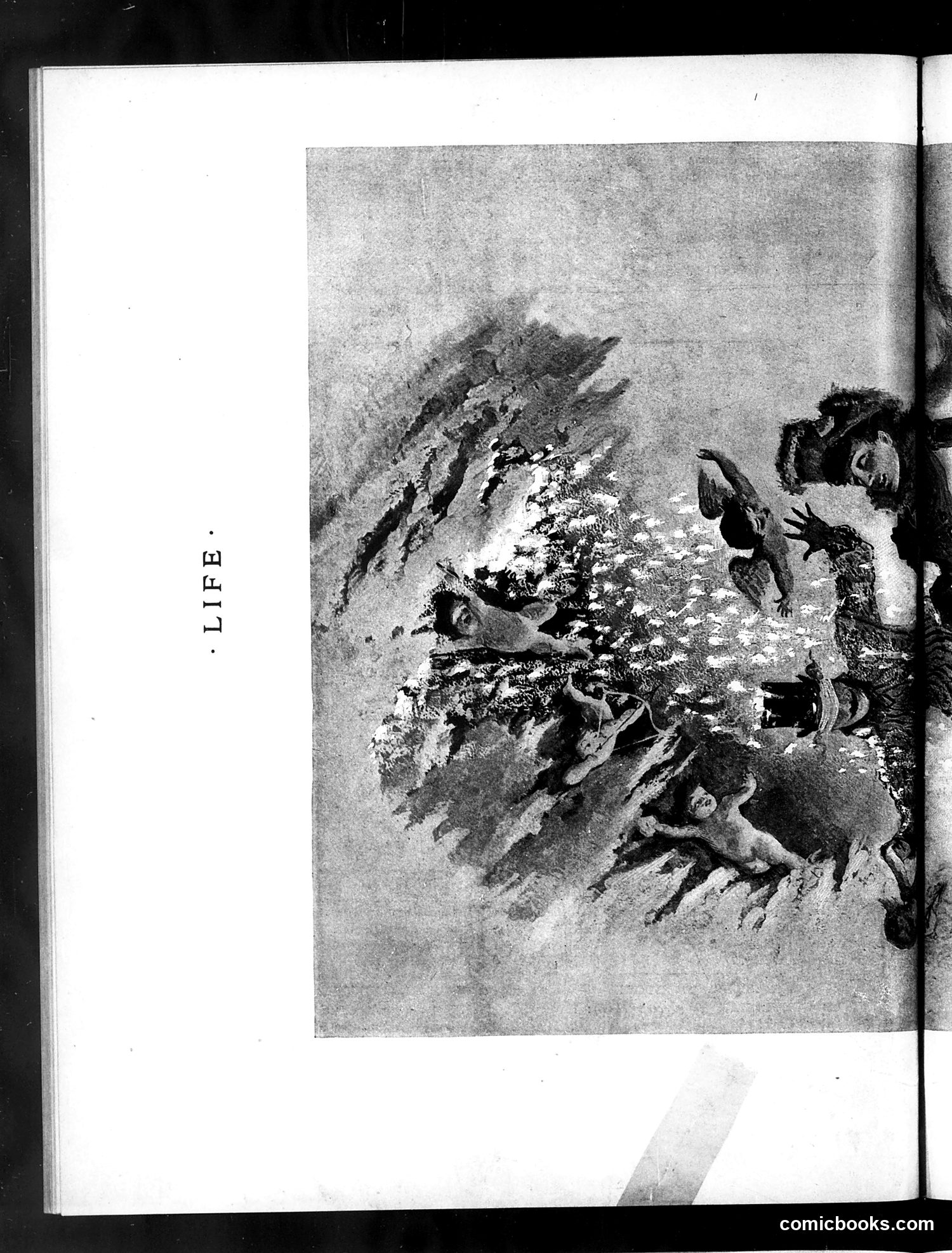 Life — February 16, 1888 — page 10: Life, 1888-02-16