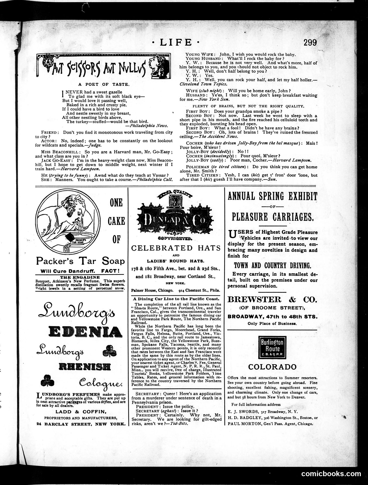 Life — May 24, 1888 — page 13: Life, 1888-05-24