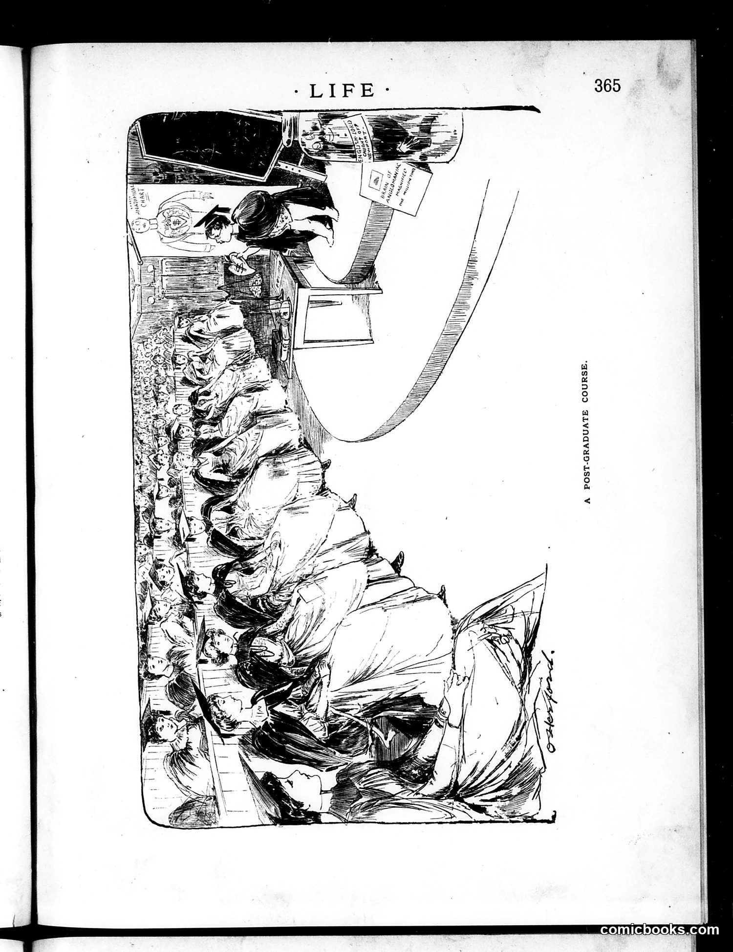 Life — June 28, 1888 — page 7: Life, 1888-06-28