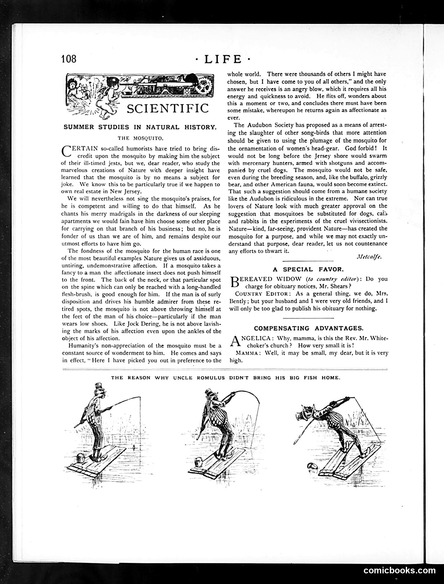 Life — August 23, 1888 — page 10: Life, 1888-08-23