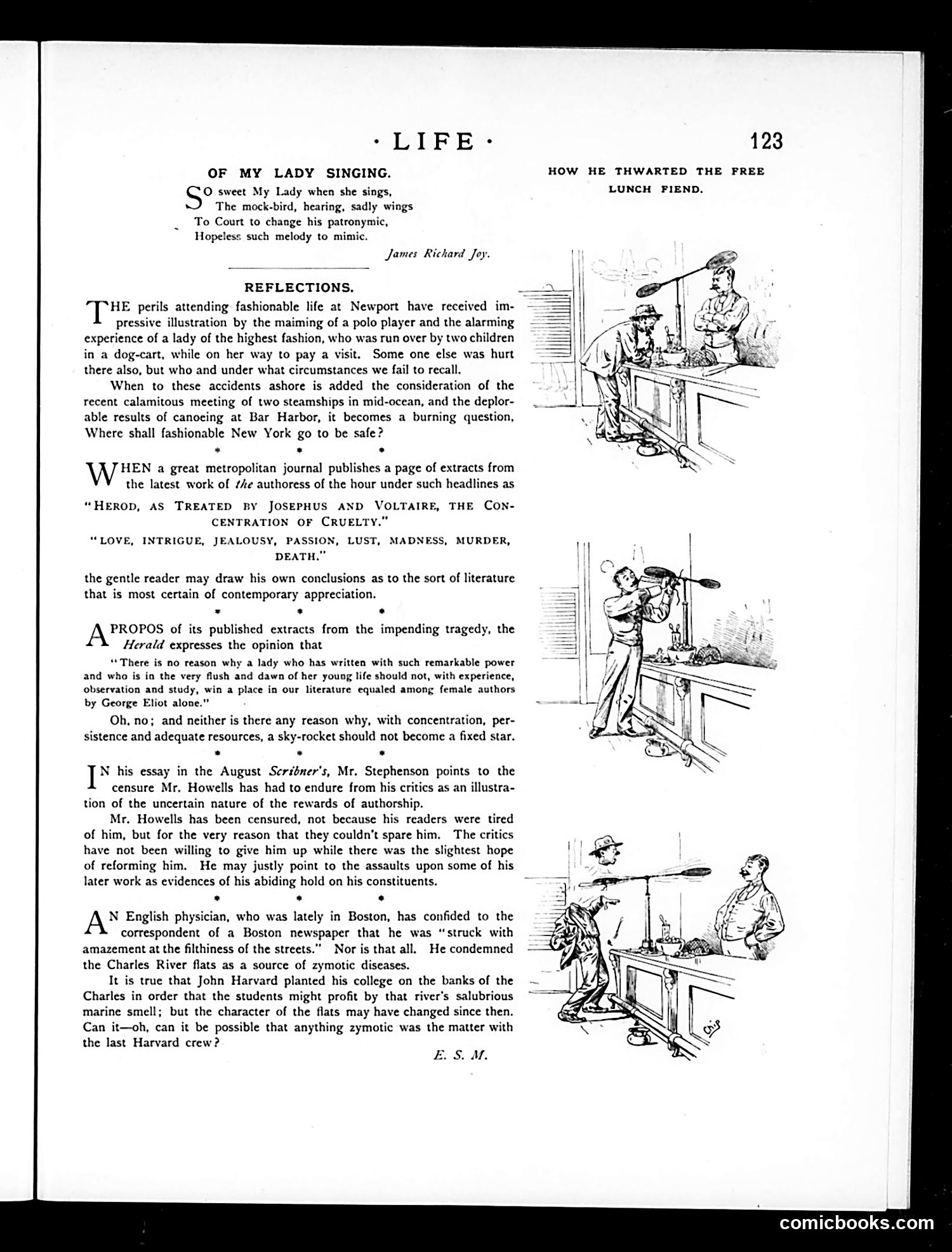 Life — August 30, 1888 — page 11: Life, 1888-08-30