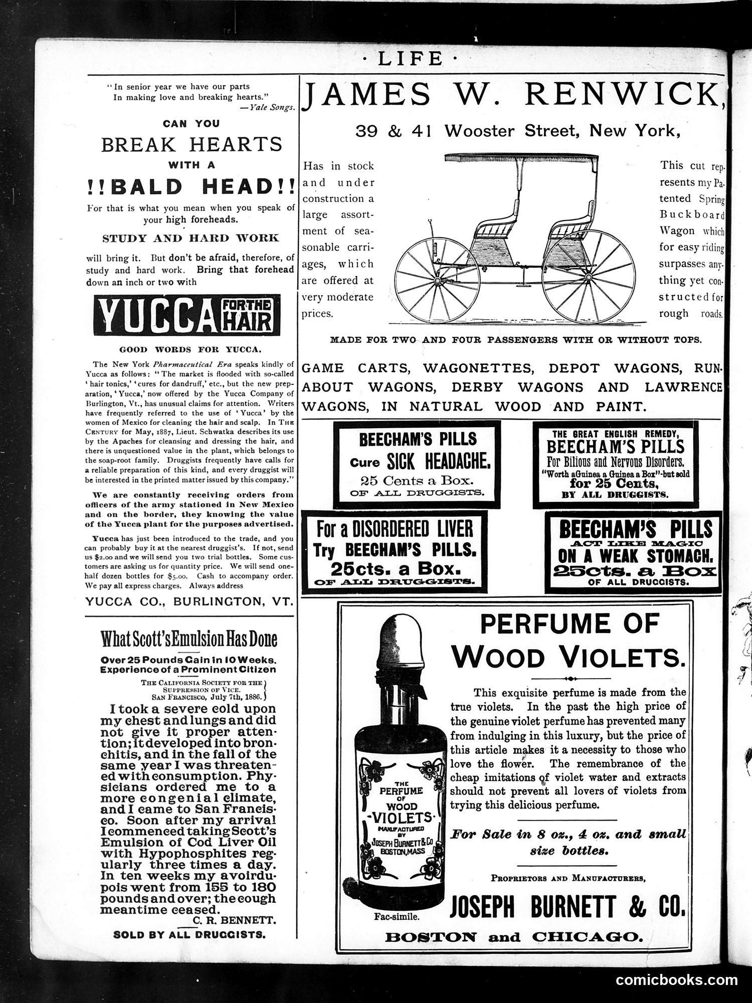 Life — May 23, 1889 — page 2: Life, 1889-05-23