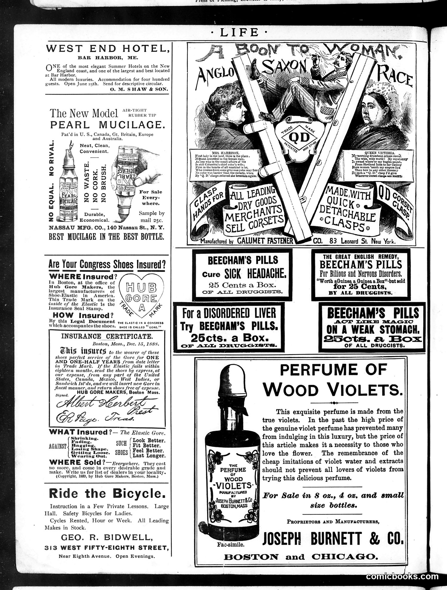 Life — May 30, 1889 — page 2: Life, 1889-05-30