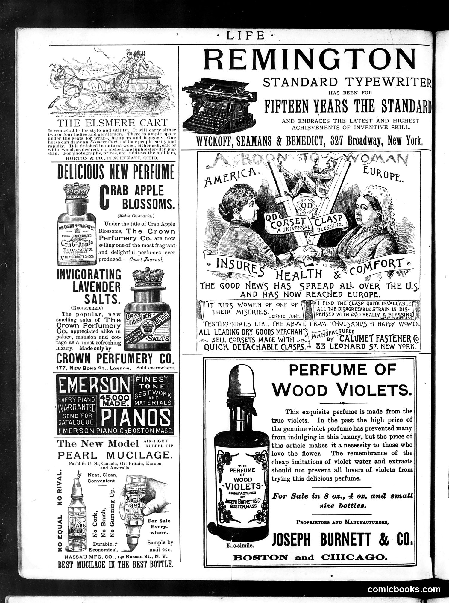 Life — June 13, 1889 — page 2: Life, 1889-06-13