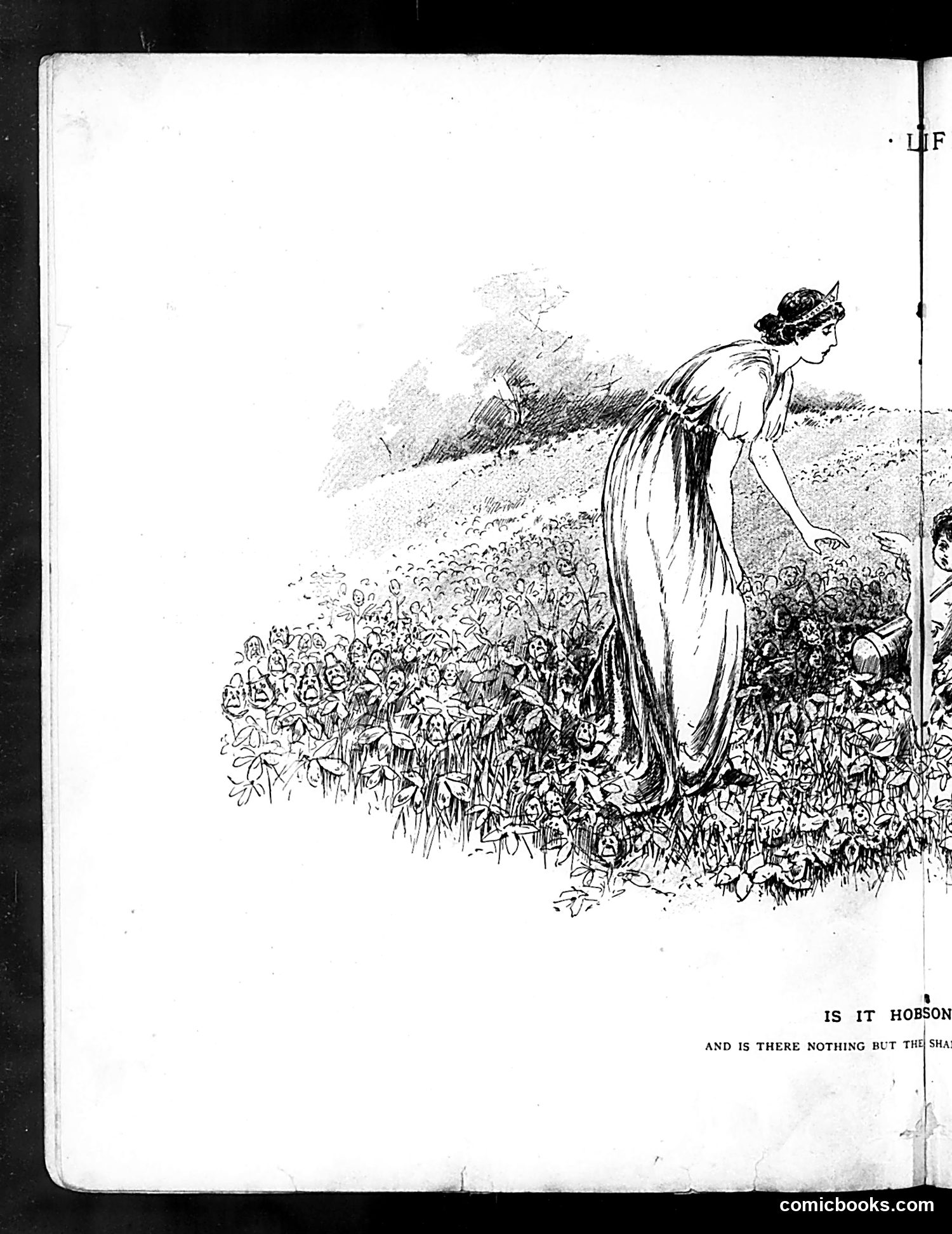 Life — August 1, 1889 — page 8: Life, 1889-08-01