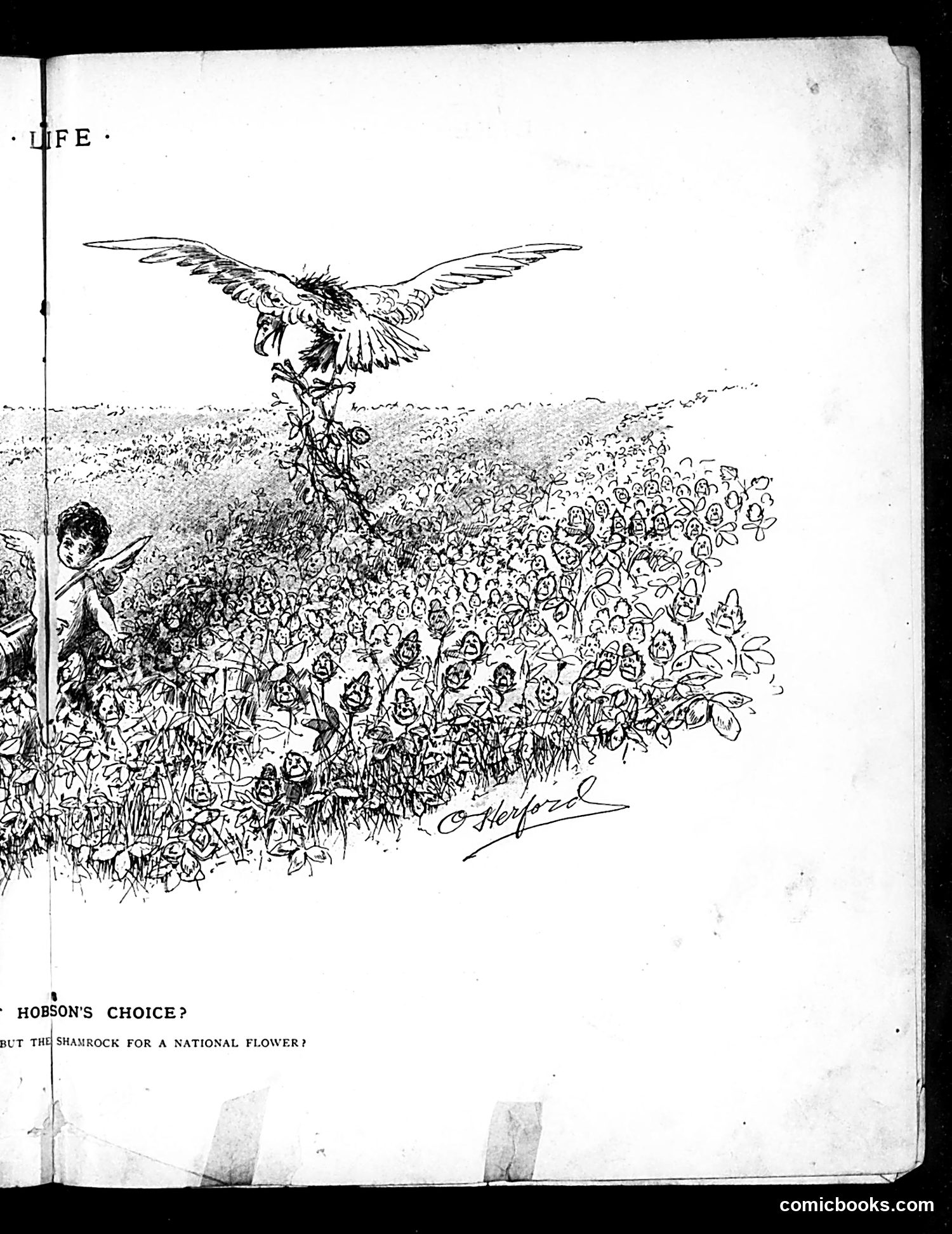 Life — August 1, 1889 — page 9: Life, 1889-08-01