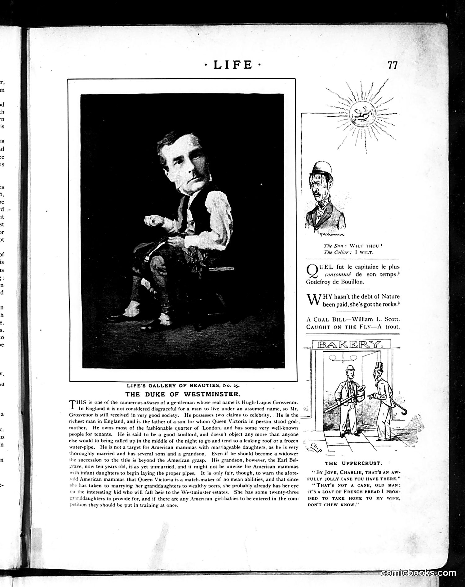 Life — August 8, 1889 — page 7: Life, 1889-08-08