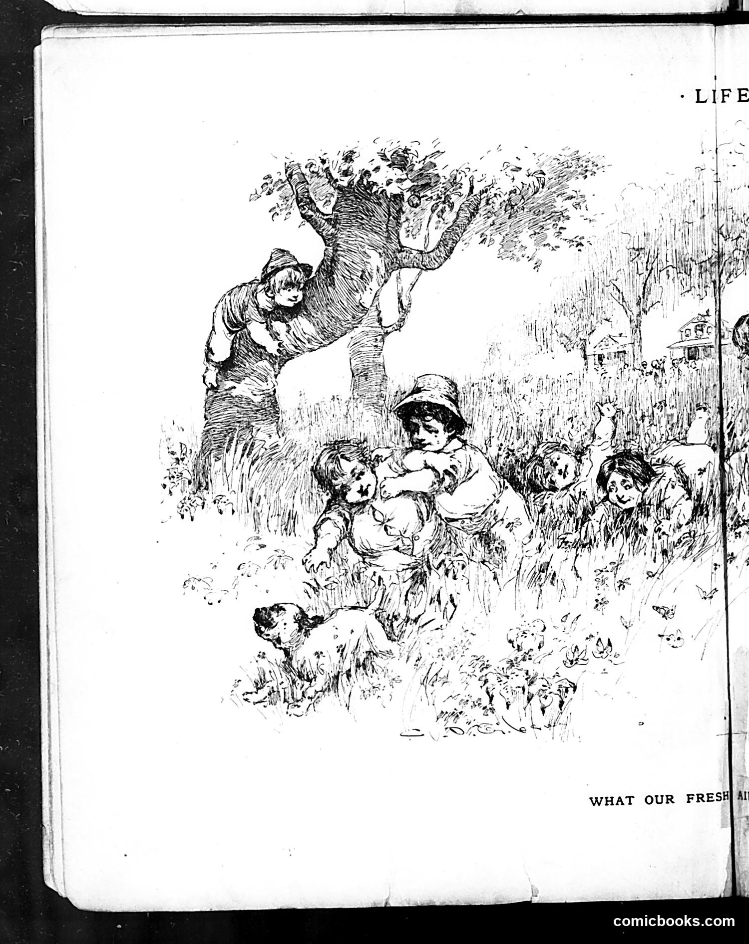 Life — August 8, 1889 — page 8: Life, 1889-08-08