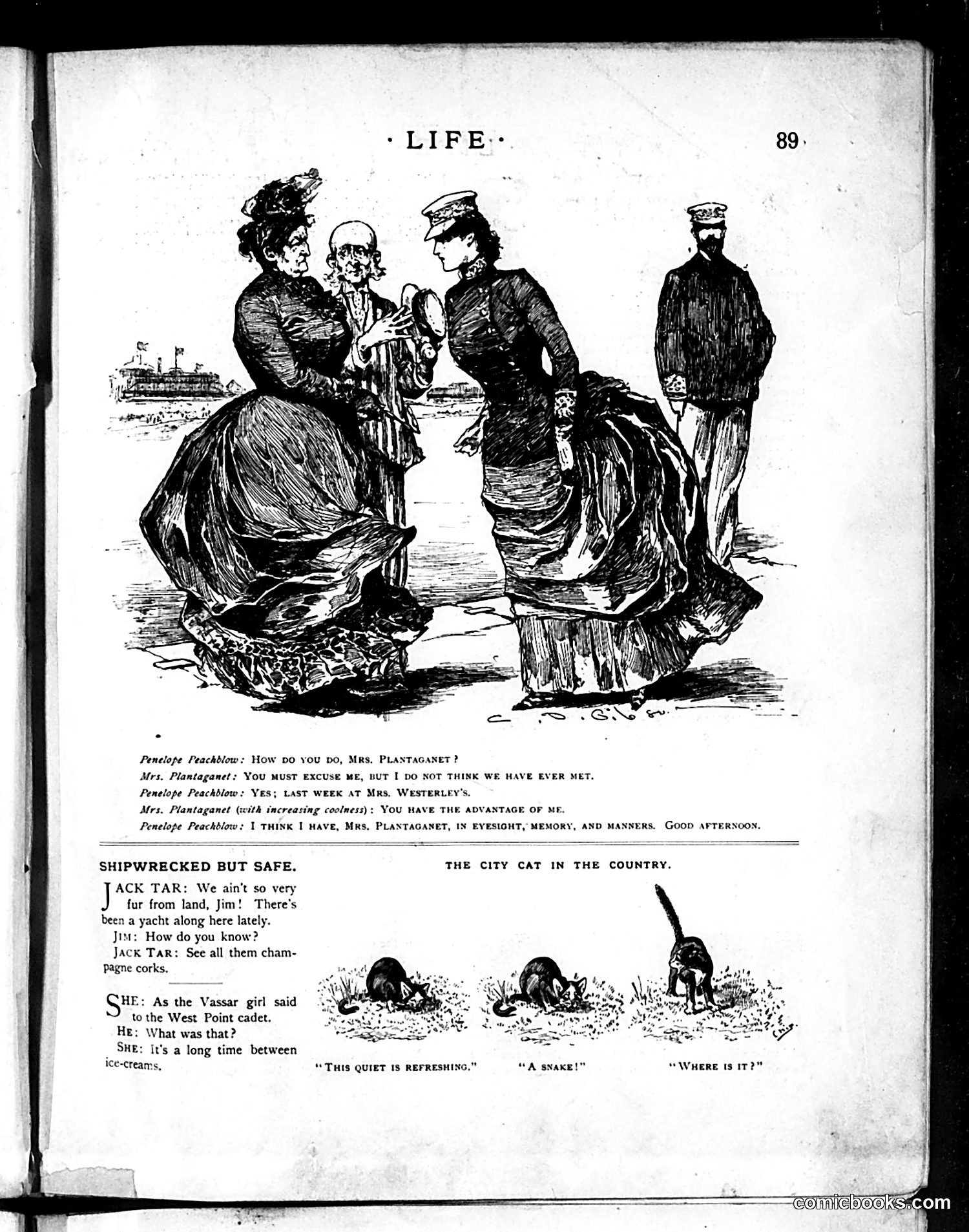 Life — August 15, 1889 — page 5: Life, 1889-08-15