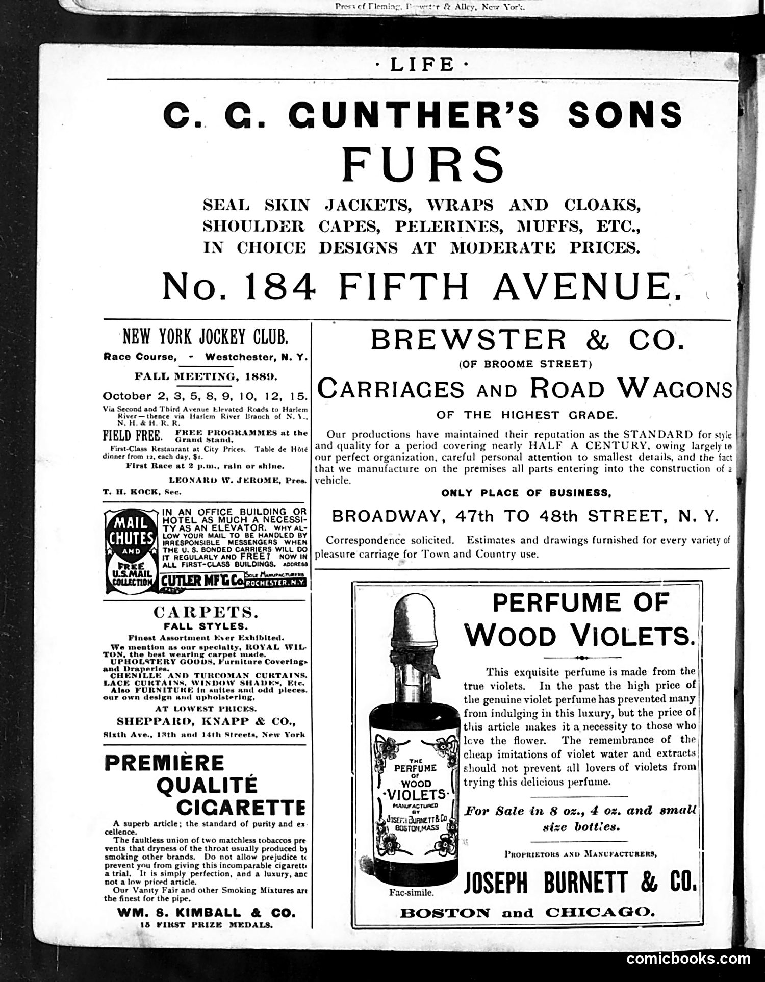 Life — October 10, 1889 — page 2: Life, 1889-10-10