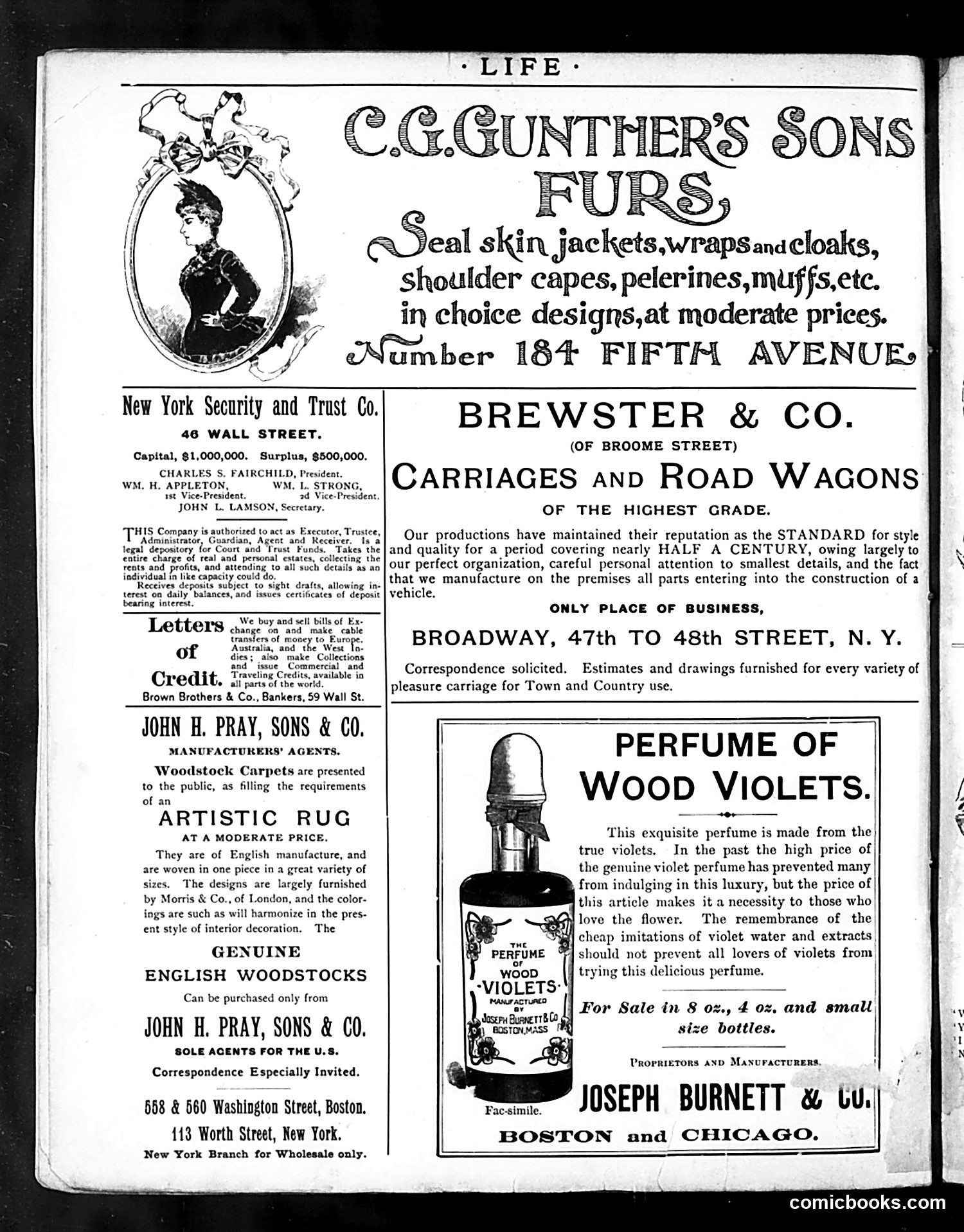 Life — November 14, 1889 — page 2: Life, 1889-11-14