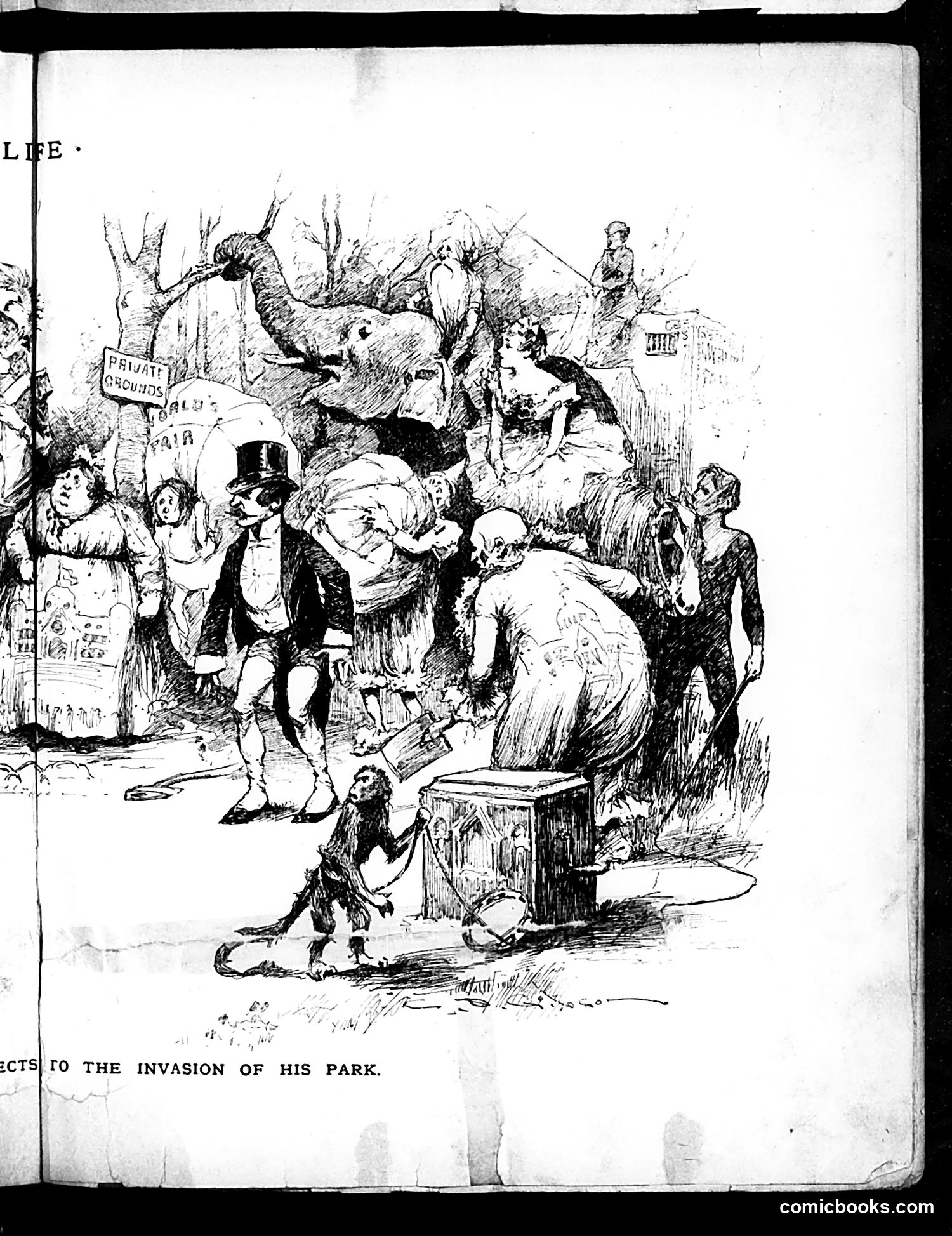 Life — November 14, 1889 — page 9: Life, 1889-11-14