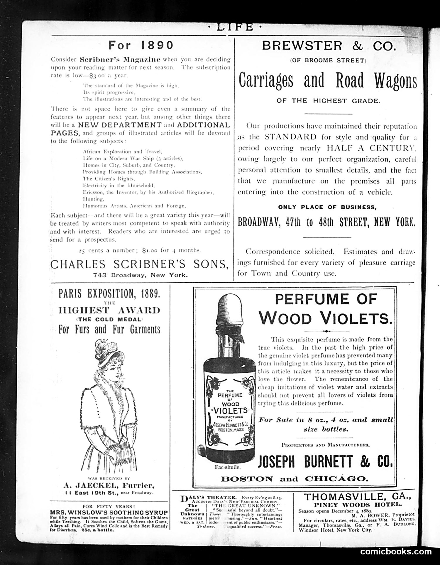 Life — November 21, 1889 — page 2: Life, 1889-11-21