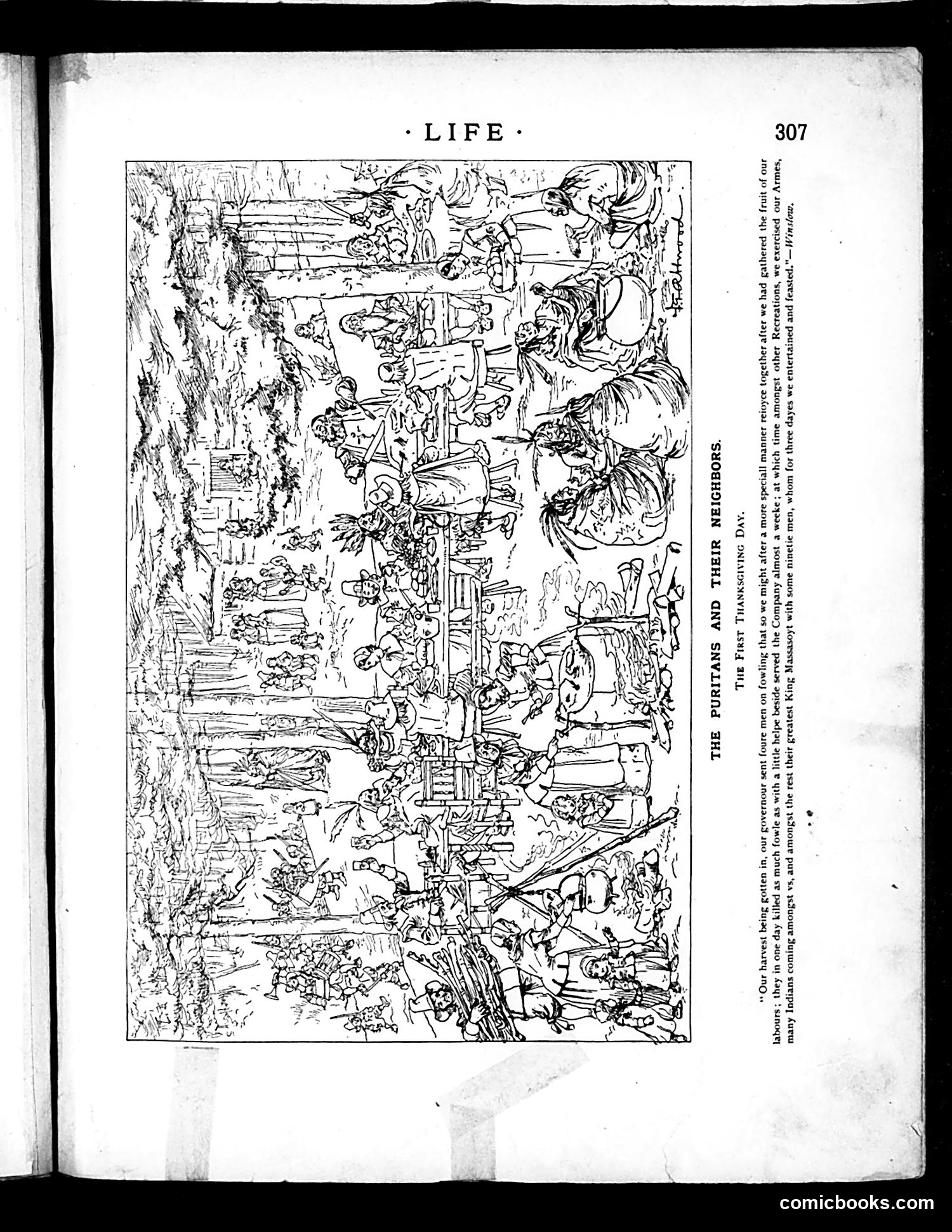Life — November 28, 1889 — page 11: Life, 1889-11-28
