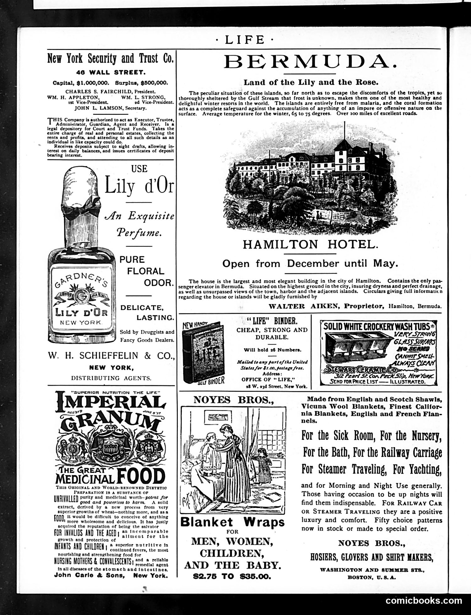 Life — January 9, 1890 — page 2: Life, 1890-01-09