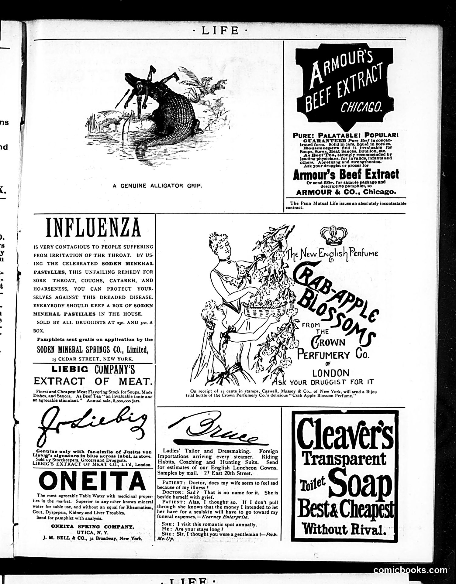 Life — January 9, 1890 — page 15: Life, 1890-01-09