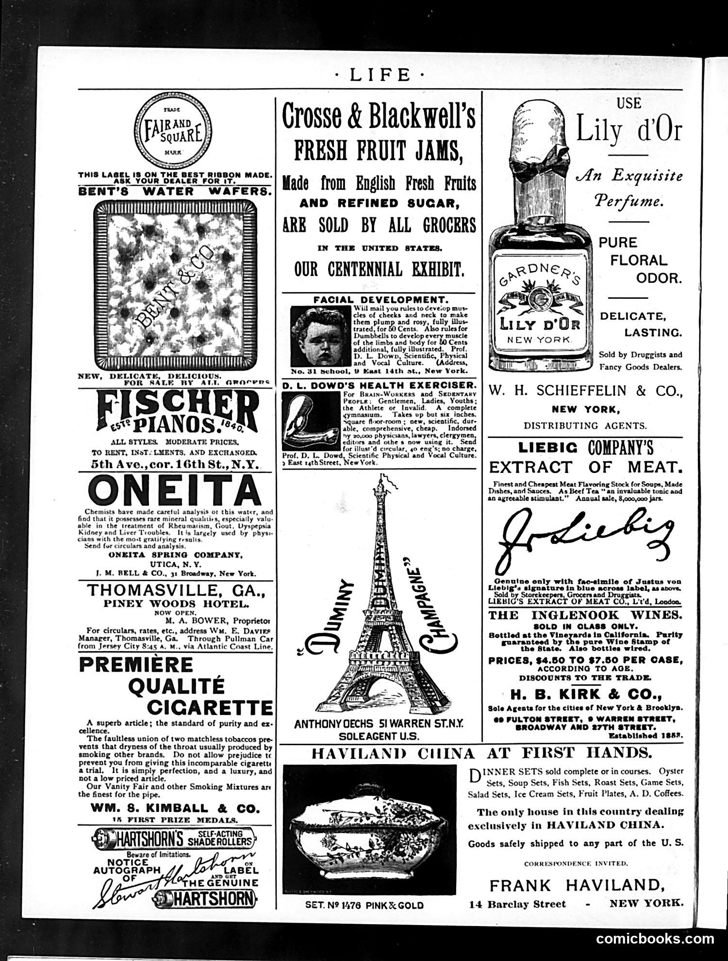 Life — January 16, 1890 — page 2: Life, 1890-01-16