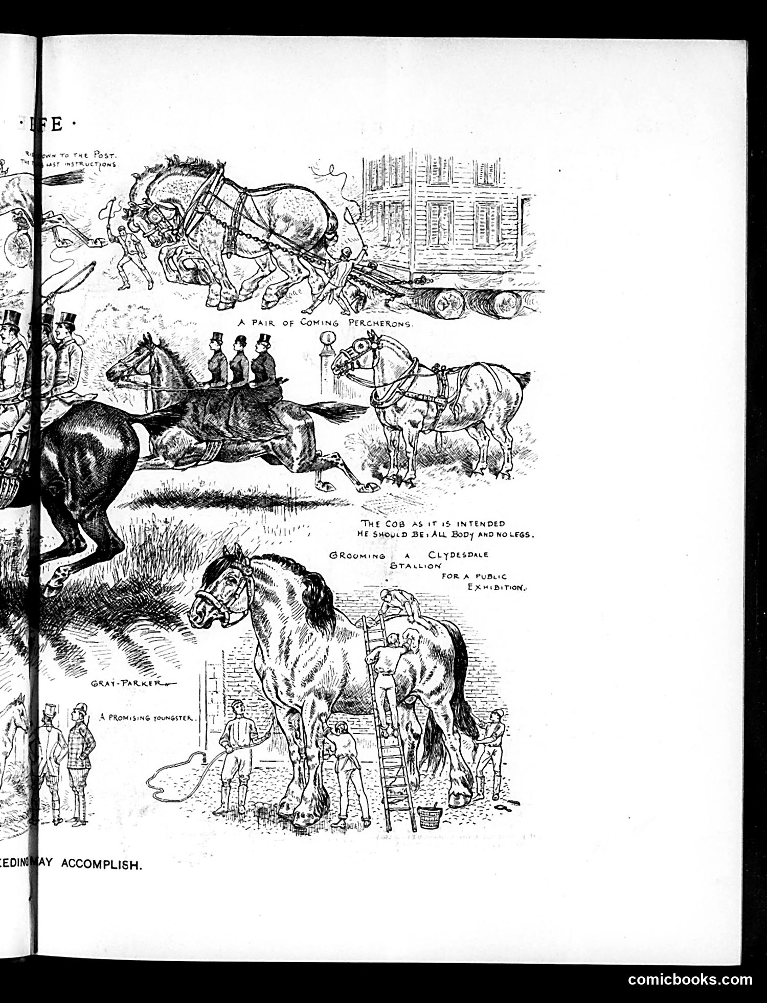 Life — March 13, 1890 — page 11: Life, 1890-03-13