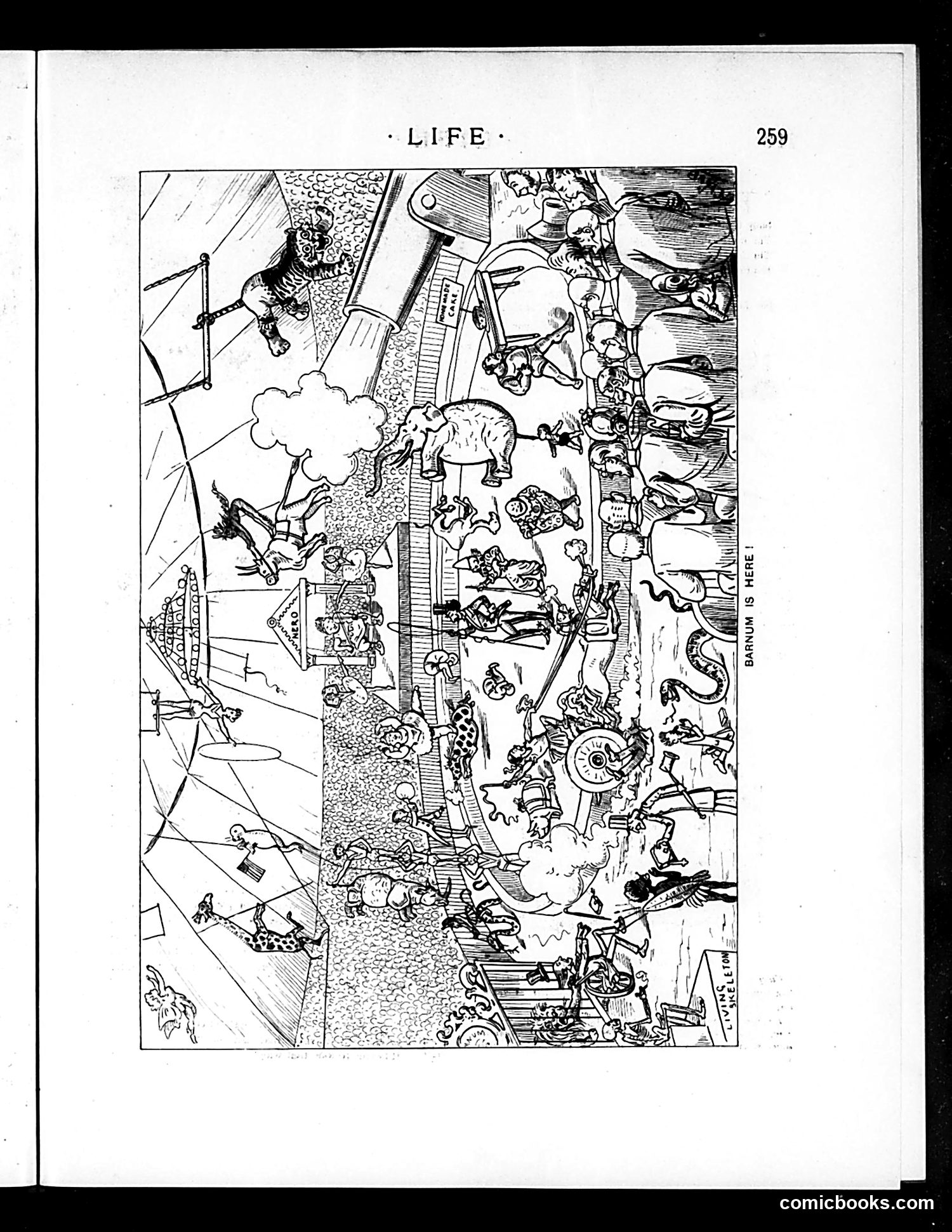 Life — May 1, 1890 — page 11: Life, 1890-05-01