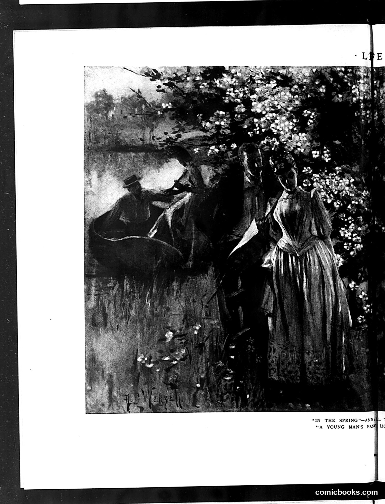 Life — July 10, 1890 — page 8: Life, 1890-07-10