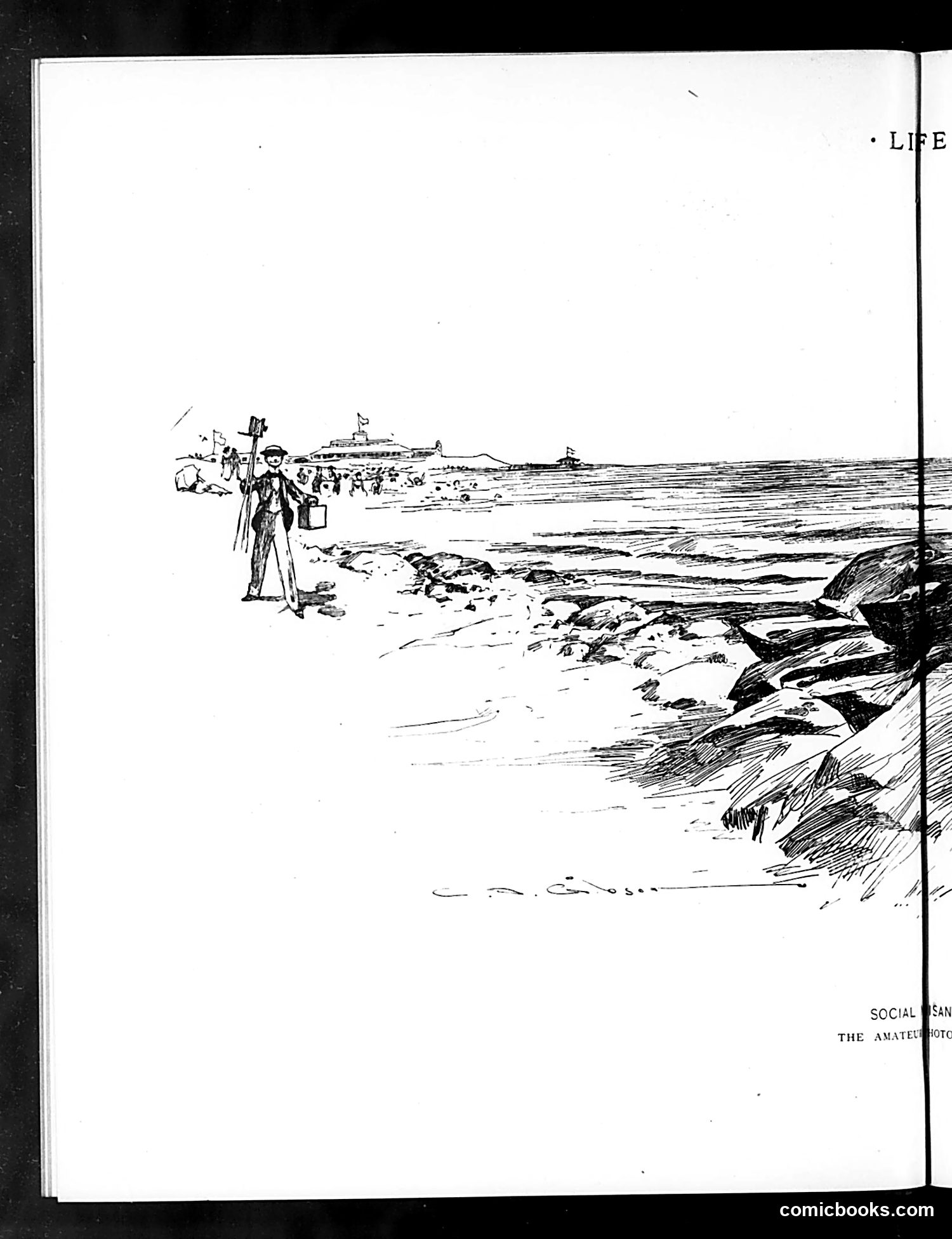 Life — August 21, 1890 — page 8: Life, 1890-08-21