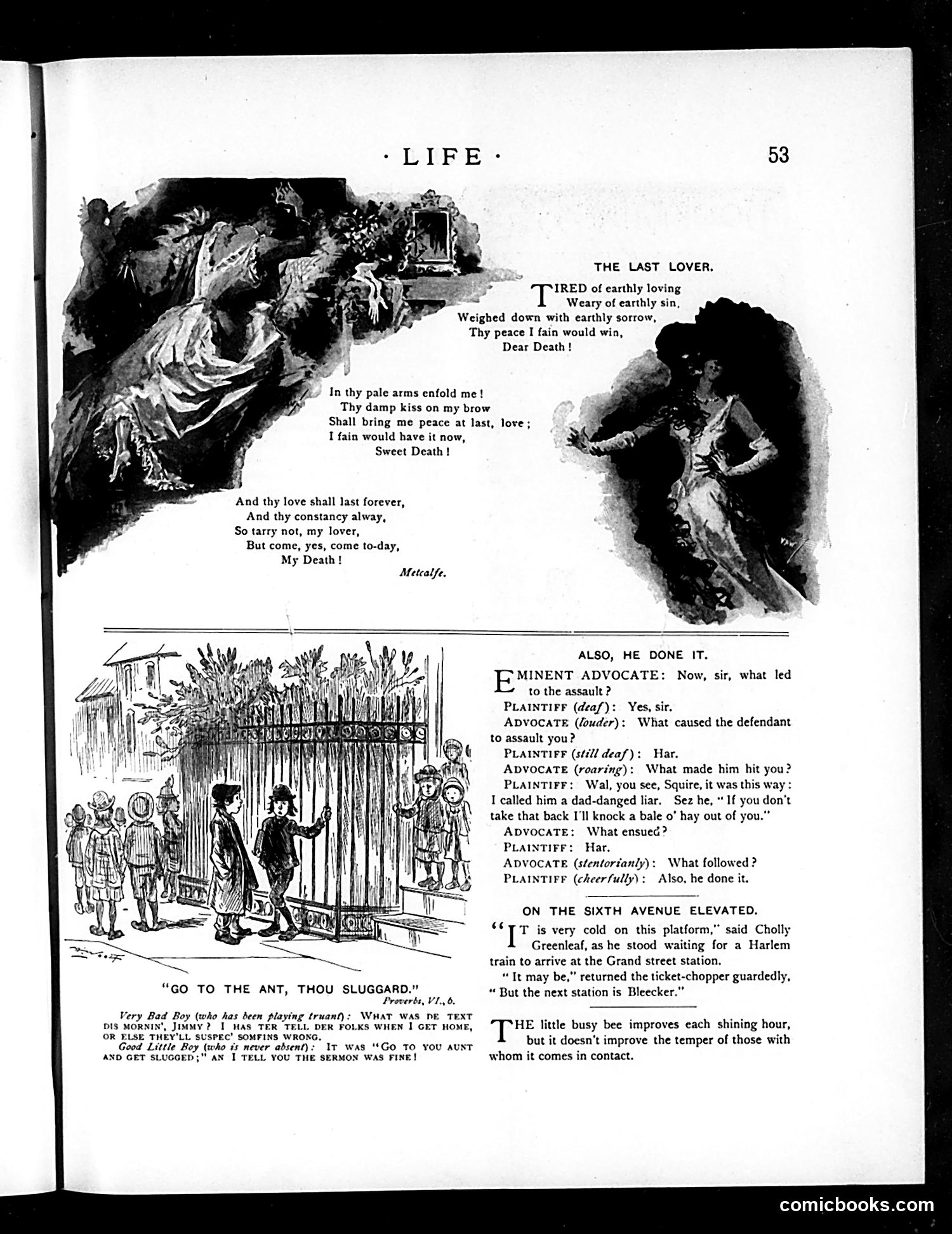 Life — January 22, 1891 — page 5: Life, 1891-01-22