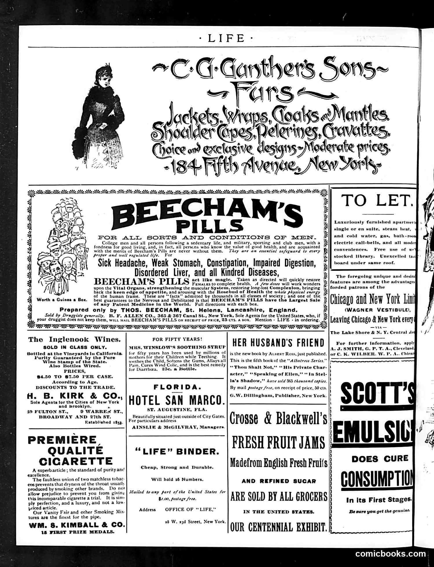 Life — January 29, 1891 — page 2: Life, 1891-01-29