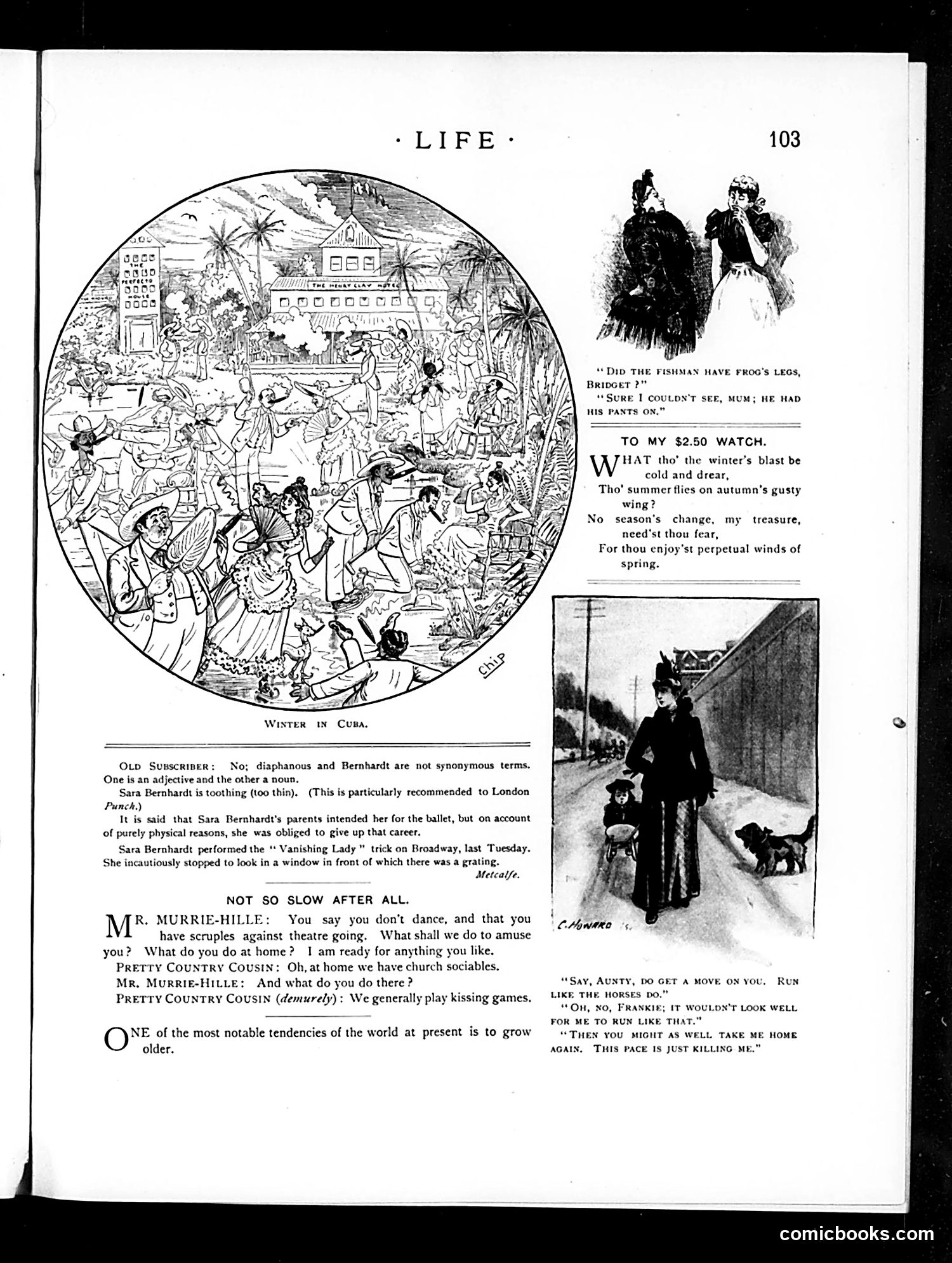 Life — February 12, 1891 — page 13: Life, 1891-02-12