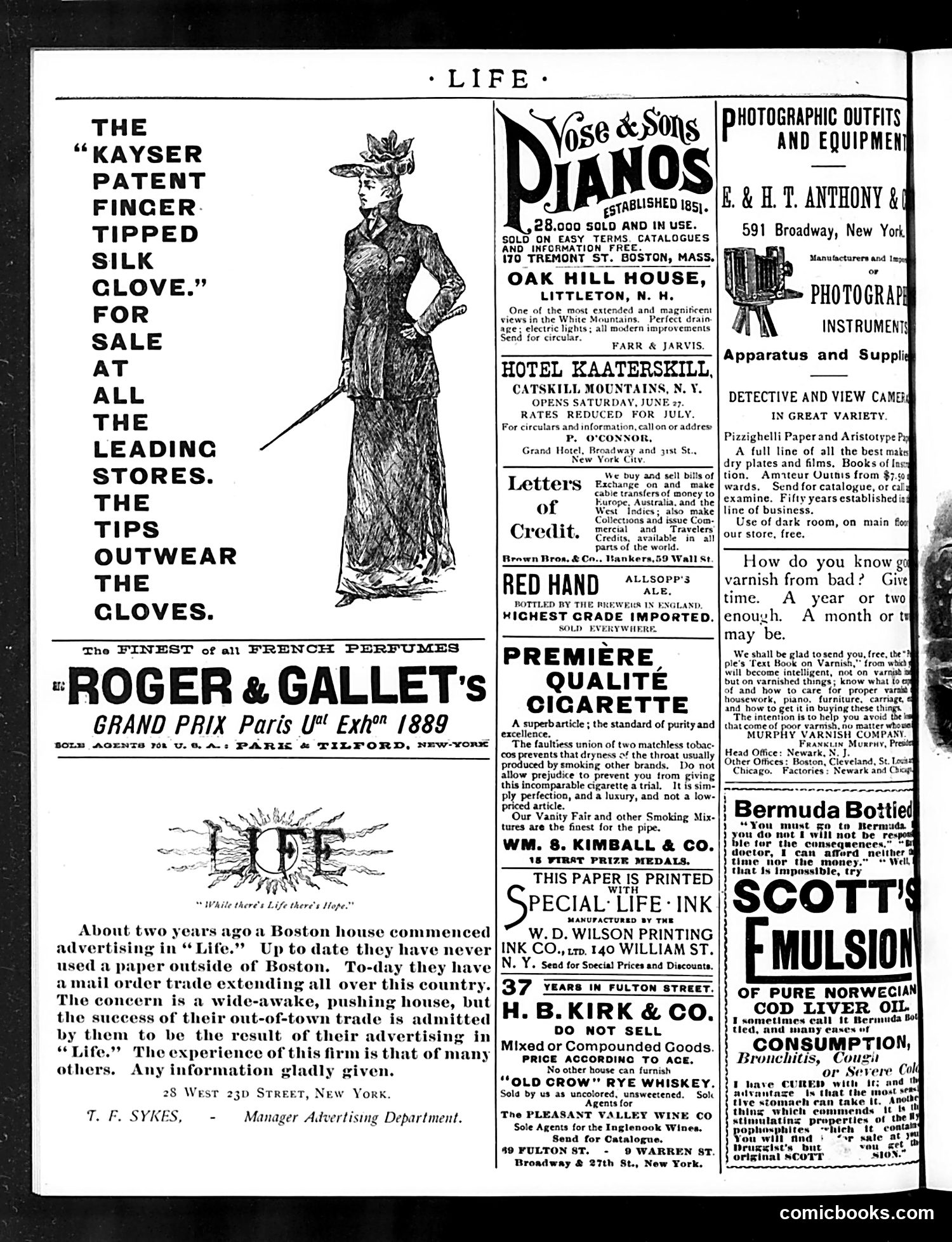 Life — June 4, 1891 — page 2: Life, 1891-06-04