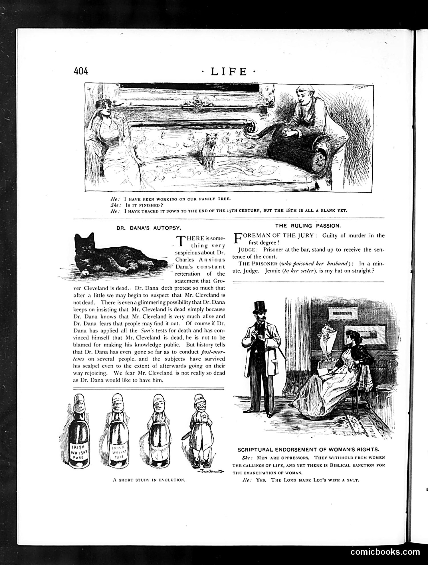 Life — June 25, 1891 — page 12: Life, 1891-06-25