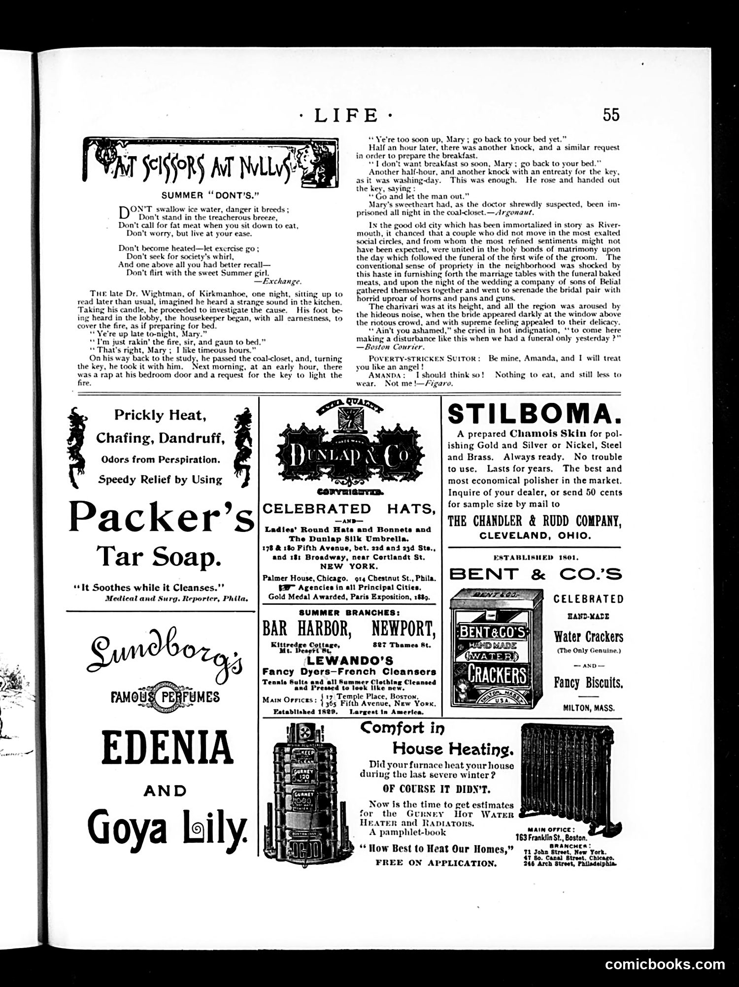 Life — July 30, 1891 — page 13: Life, 1891-07-30