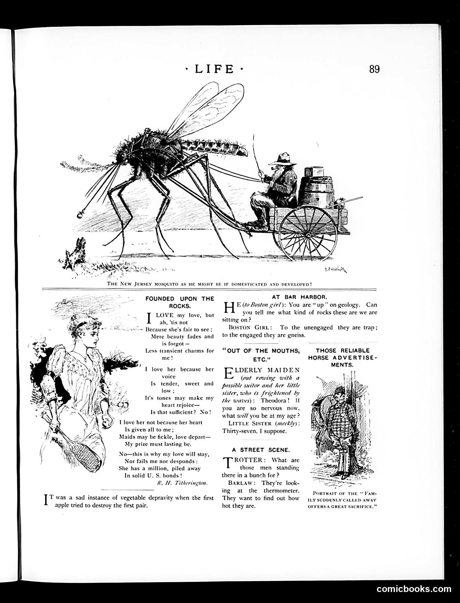 Life — August 20, 1891 — page 5: Life, 1891-08-20