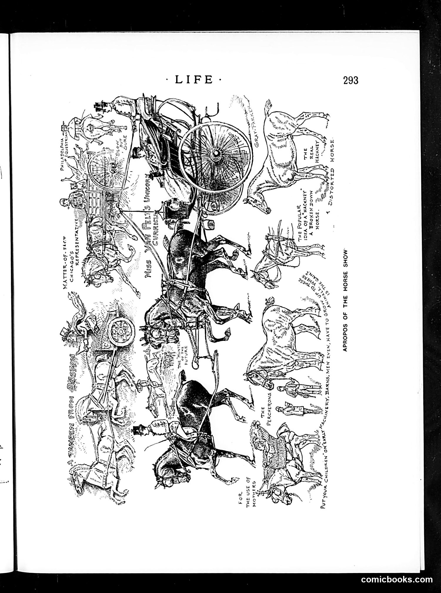 Life — November 19, 1891 — page 9: Life, 1891-11-19