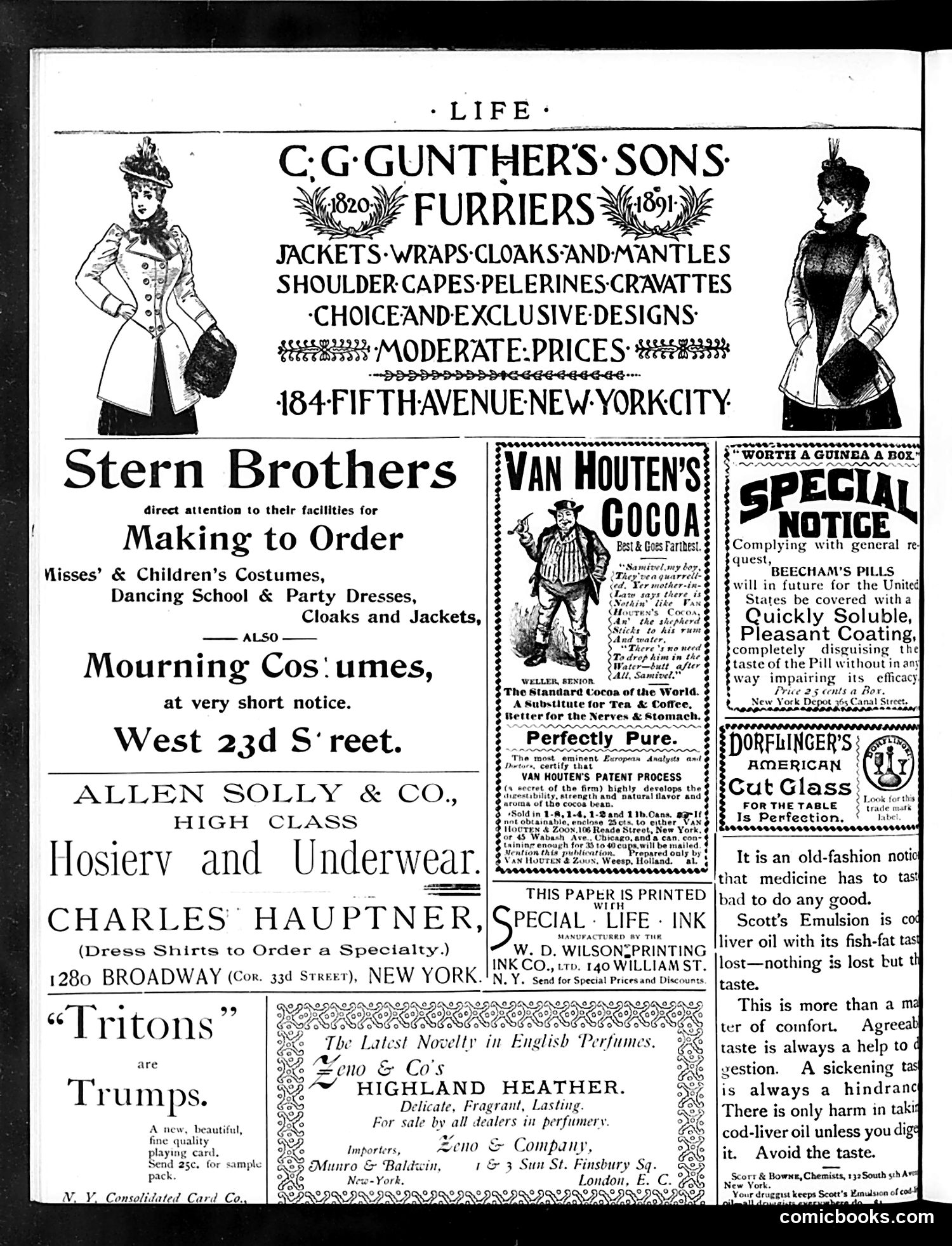 Life — December 3, 1891 — page 2: Life, 1891-12-03