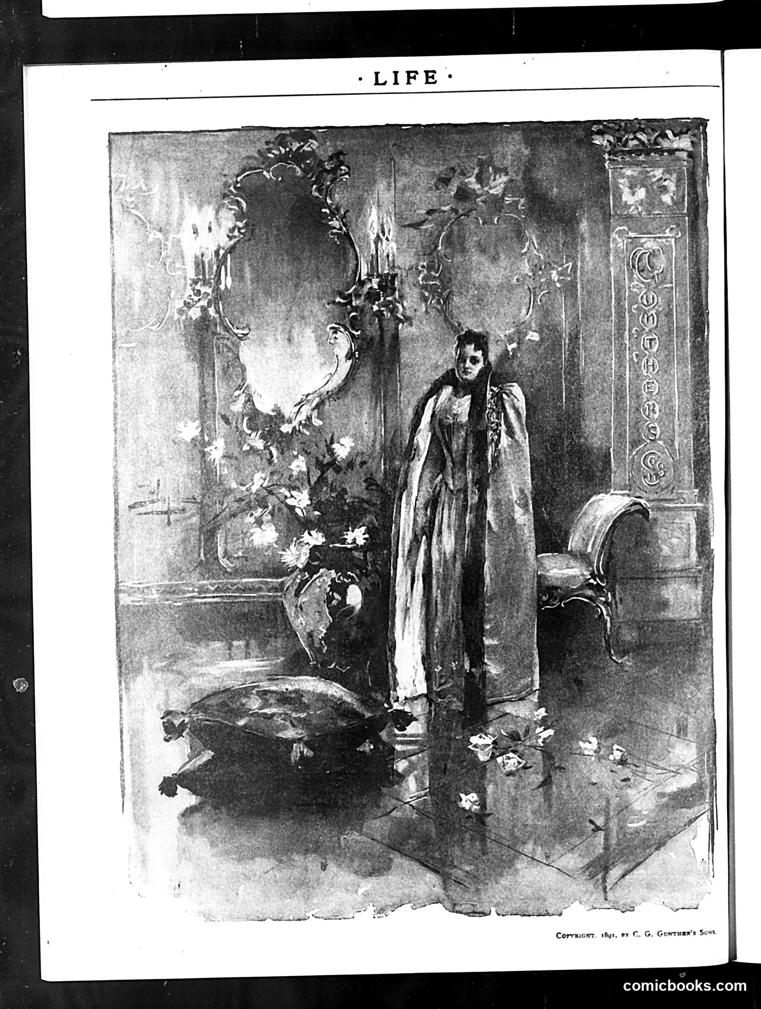 Life — December 31, 1891 — page 2: Life, 1891-12-31