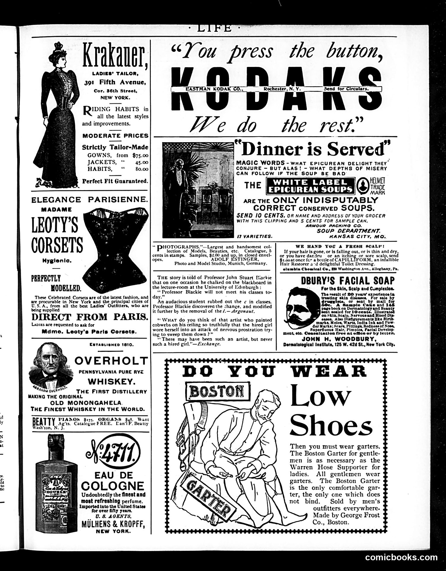 Life — July 21, 1892 — page 15: Life, 1892-07-21