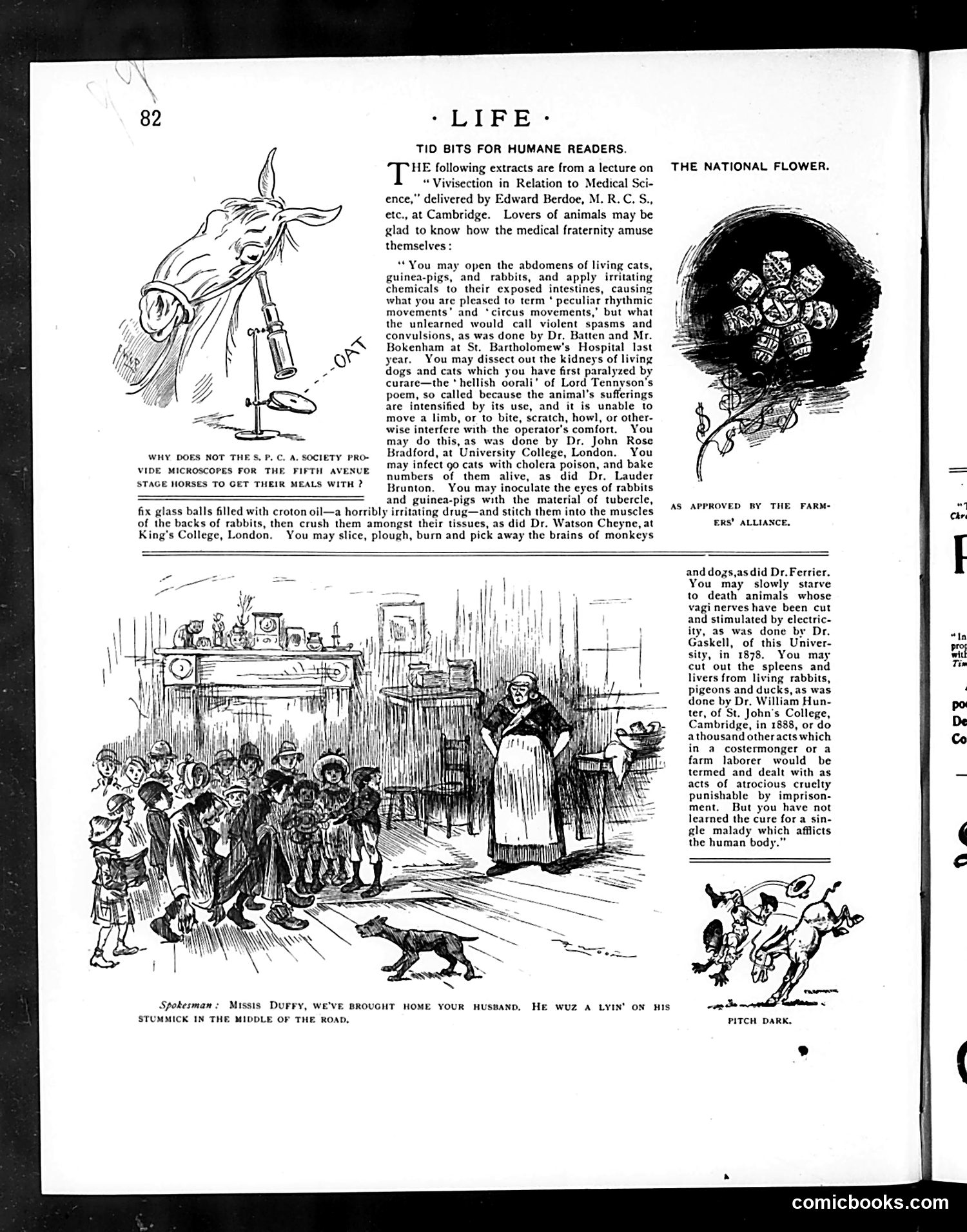 Life — August 11, 1892 — page 12: Life, 1892-08-11