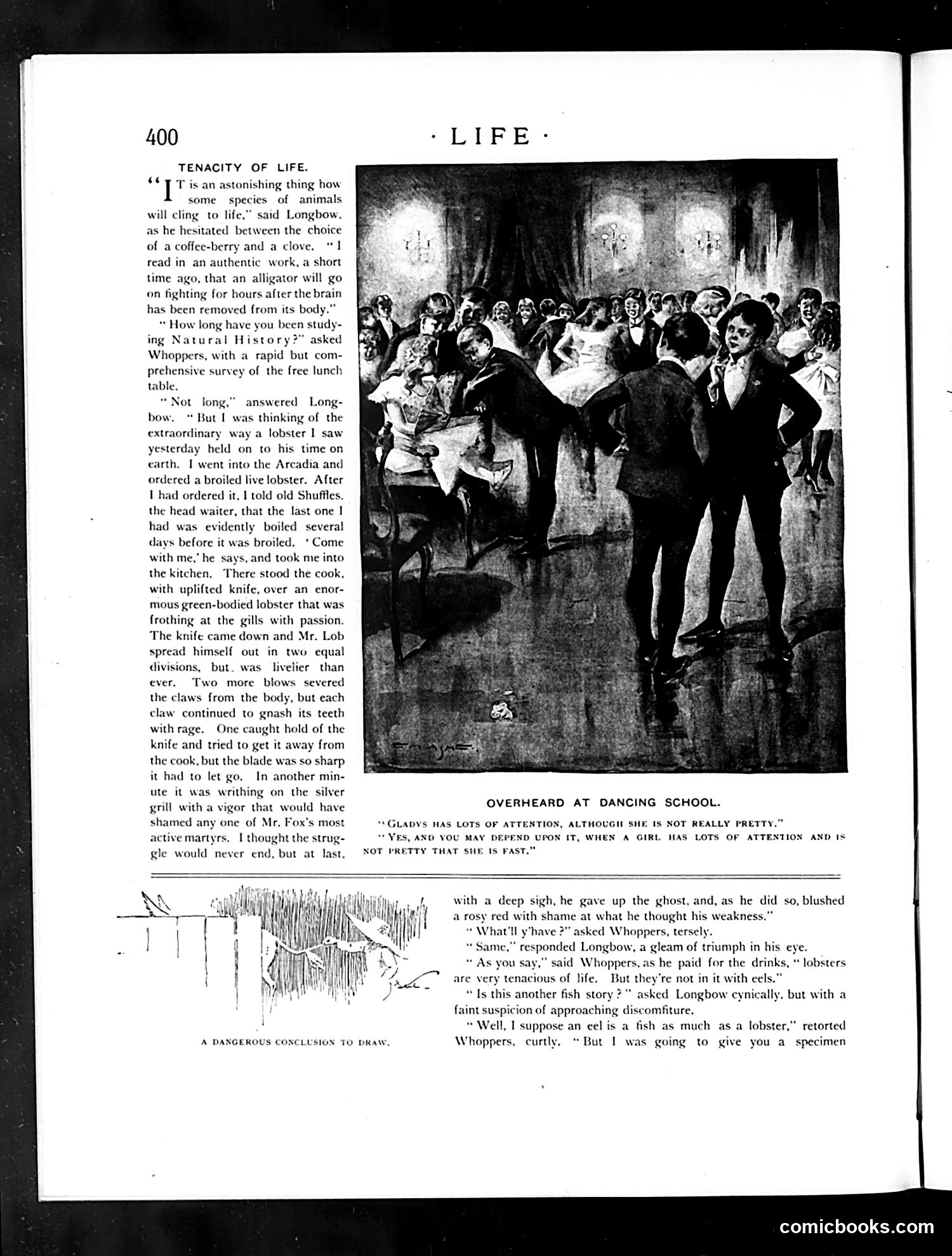 Life — December 21, 1893 — page 12: Life, 1893-12-21