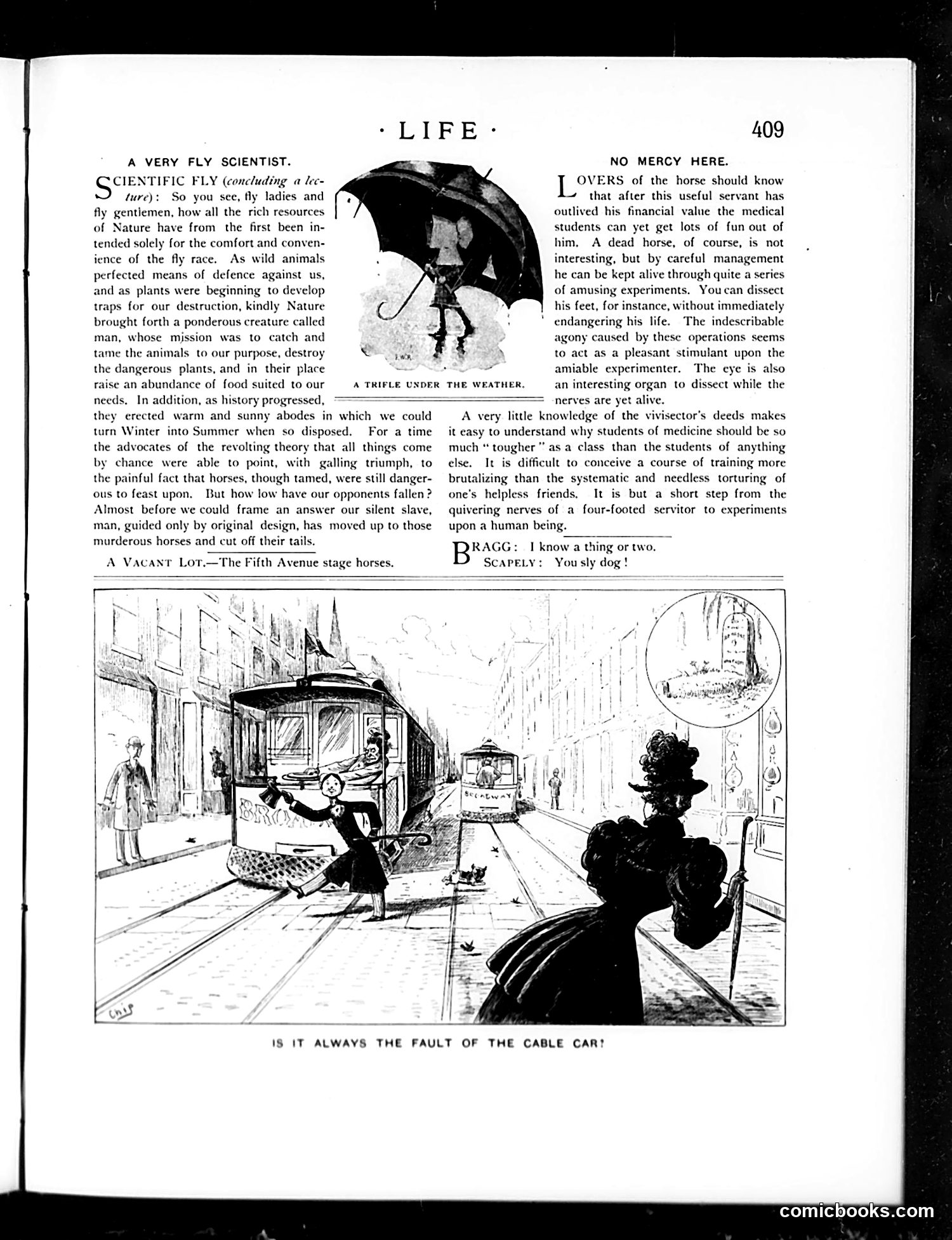 Life — December 28, 1893 — page 5: Life, 1893-12-28