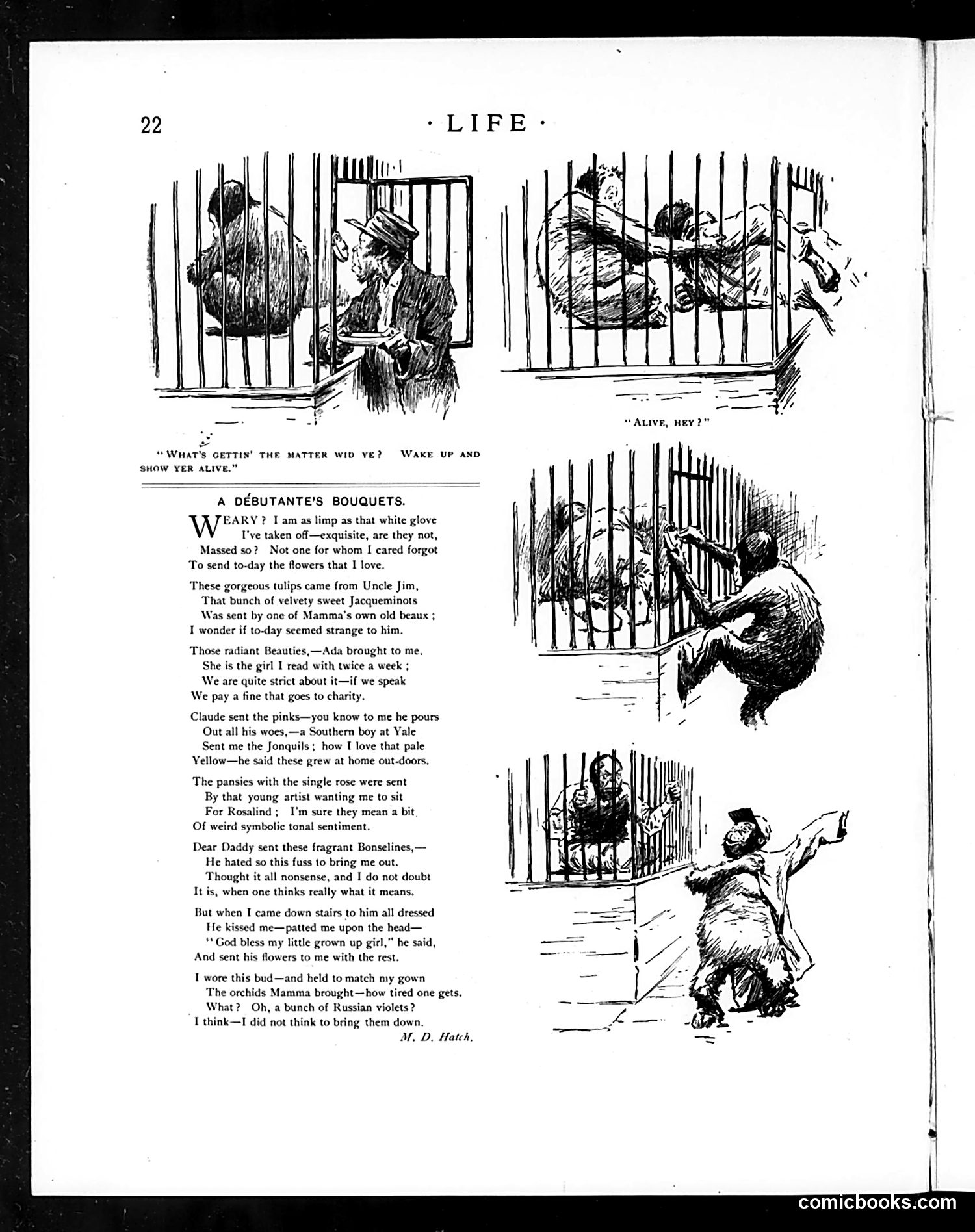 Life — January 11, 1894 — page 6: Life, 1894-01-11
